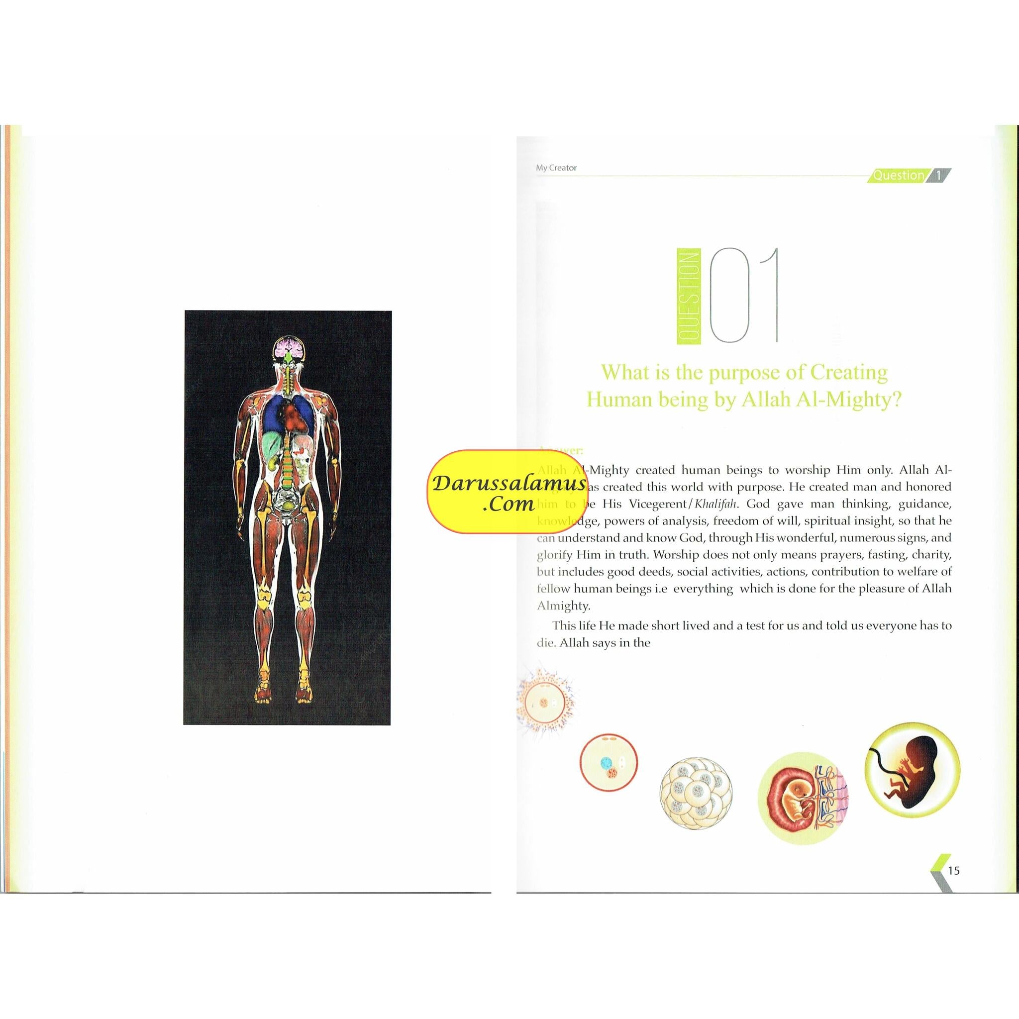 My Creator by Dr. Zahoor Ali Shaikh、mySite、topwebapps