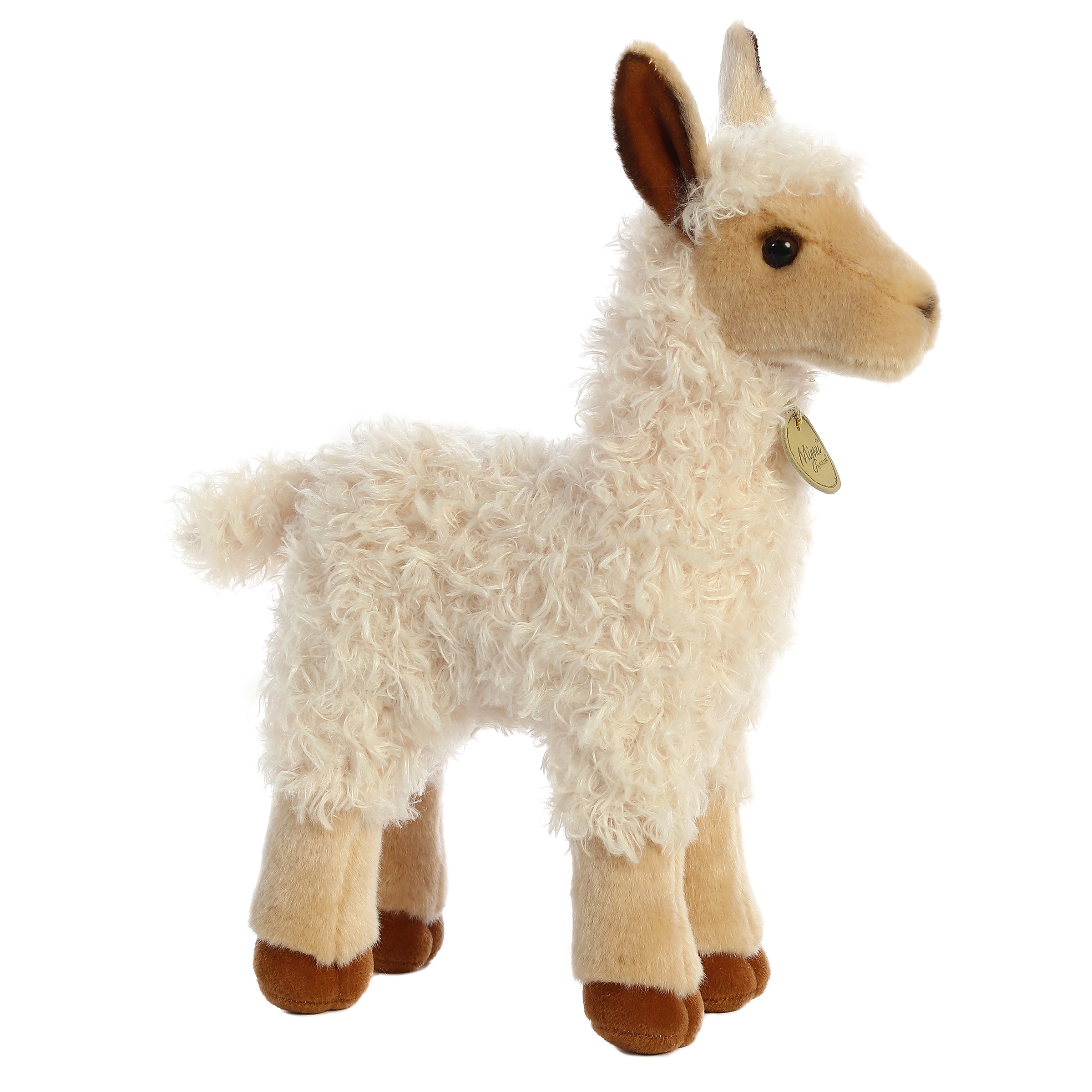 Aurora® - Miyoni® - 12 Llama、mySite、g9winljtr