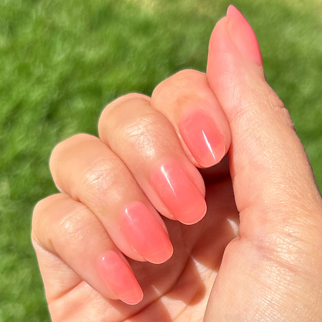 Pink Jelly - Press-On | Short | Round、mySite、solidvoid