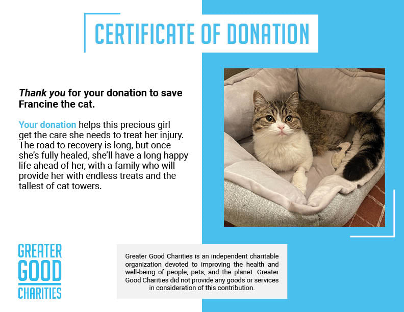 Funded: Help Francine Heal From Fracture、mySite、camillekostekn