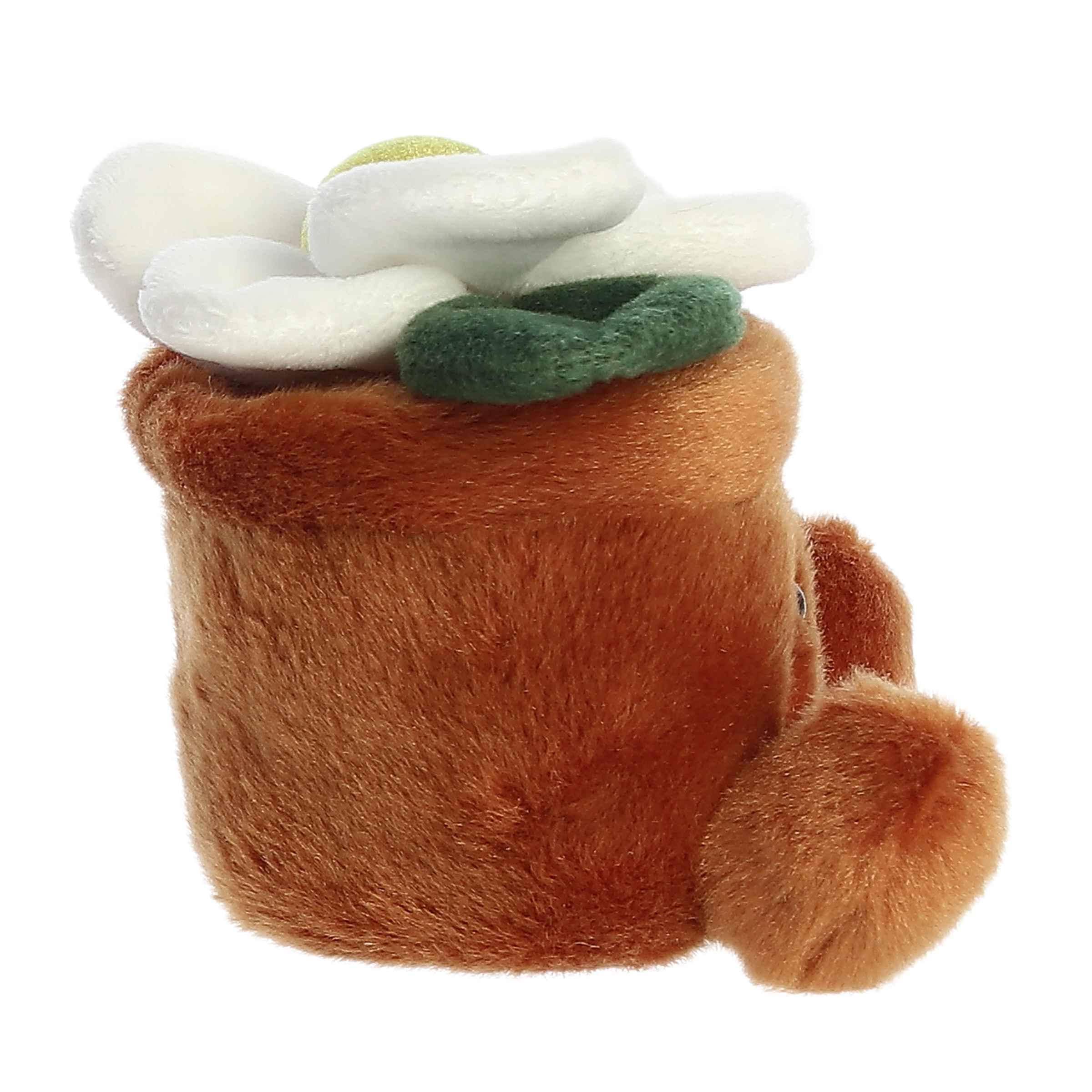 Aurora® - Palm Pals™ - 5 Junie Daisy™、mySite、g9winljtr