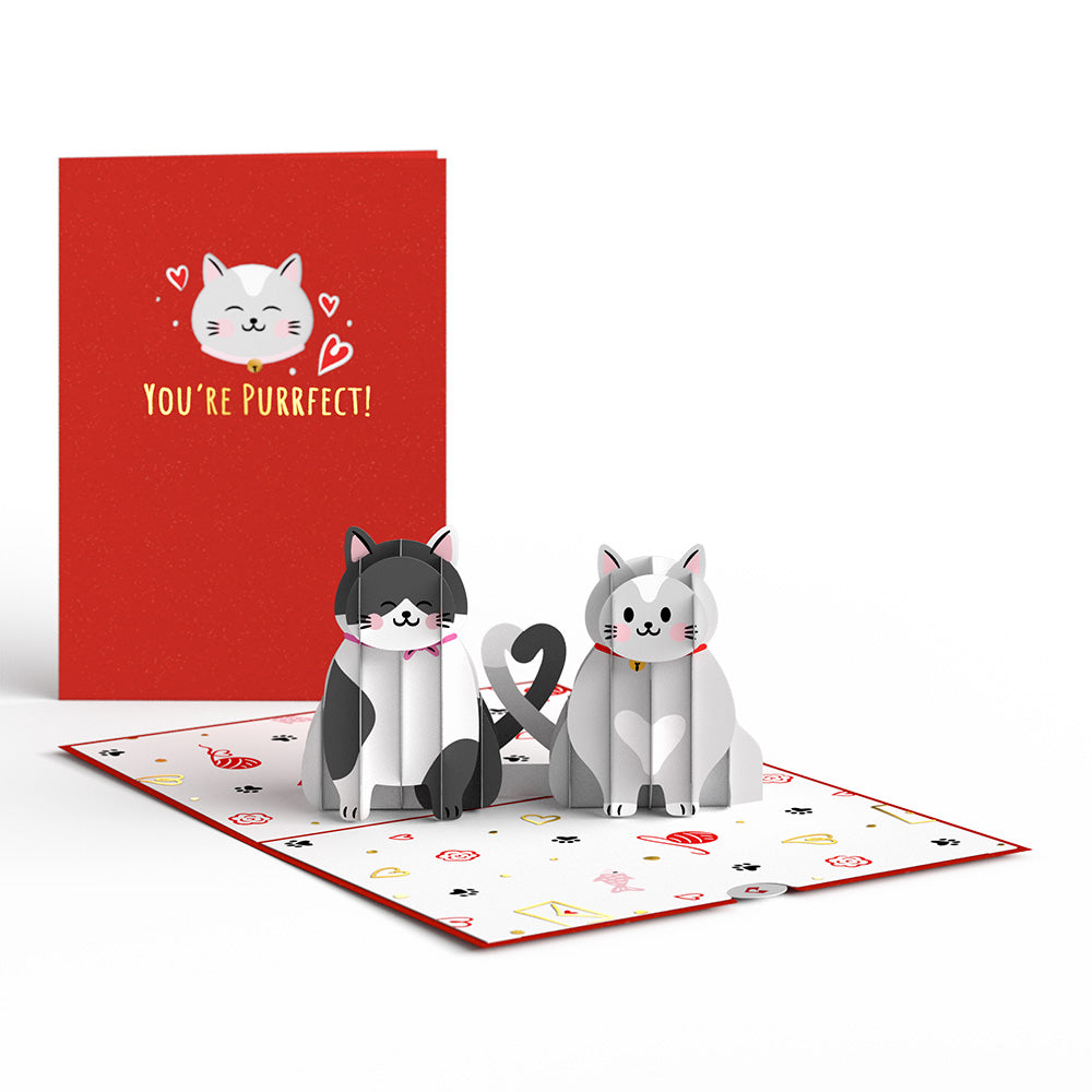 Love Cats Pop-Up Card、mySite、solidvoid