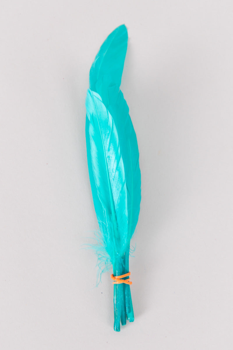 Mini Goose Feathers Bundle of 6- Orange Rubber Band - FINAL SALE、mySite、hinf8tx79