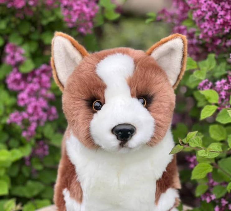Plush Pembroke Welsh Corgi-Chocolate Brown and White、mySite、g9winljtr