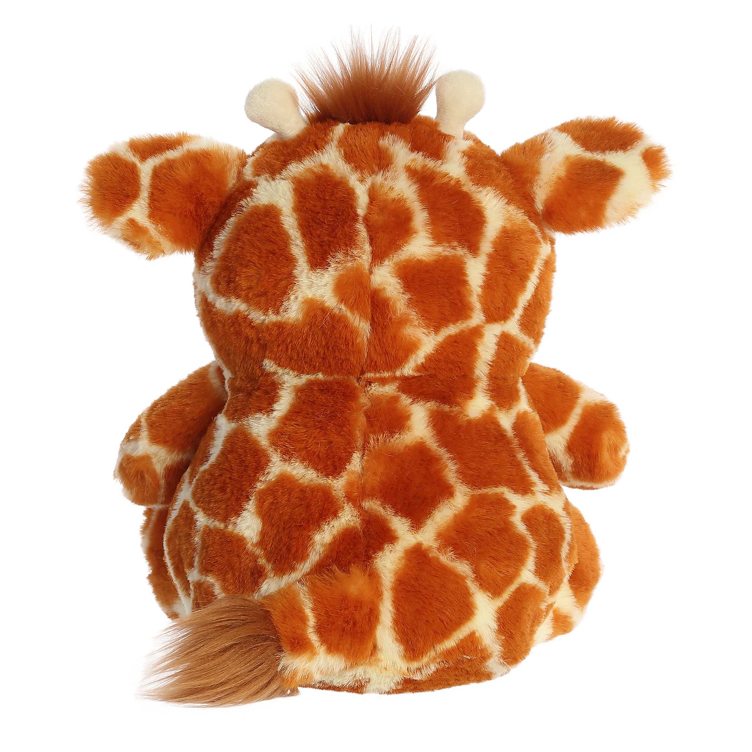 Aurora® - Stubez™ - 11 Tops Giraffe™、mySite、g9winljtr