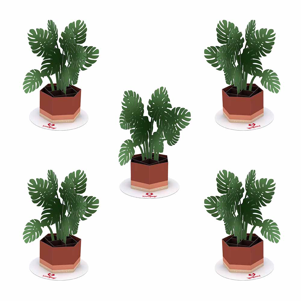 Stickerpop™: Monstera (5-Pack)、mySite、solidvoid