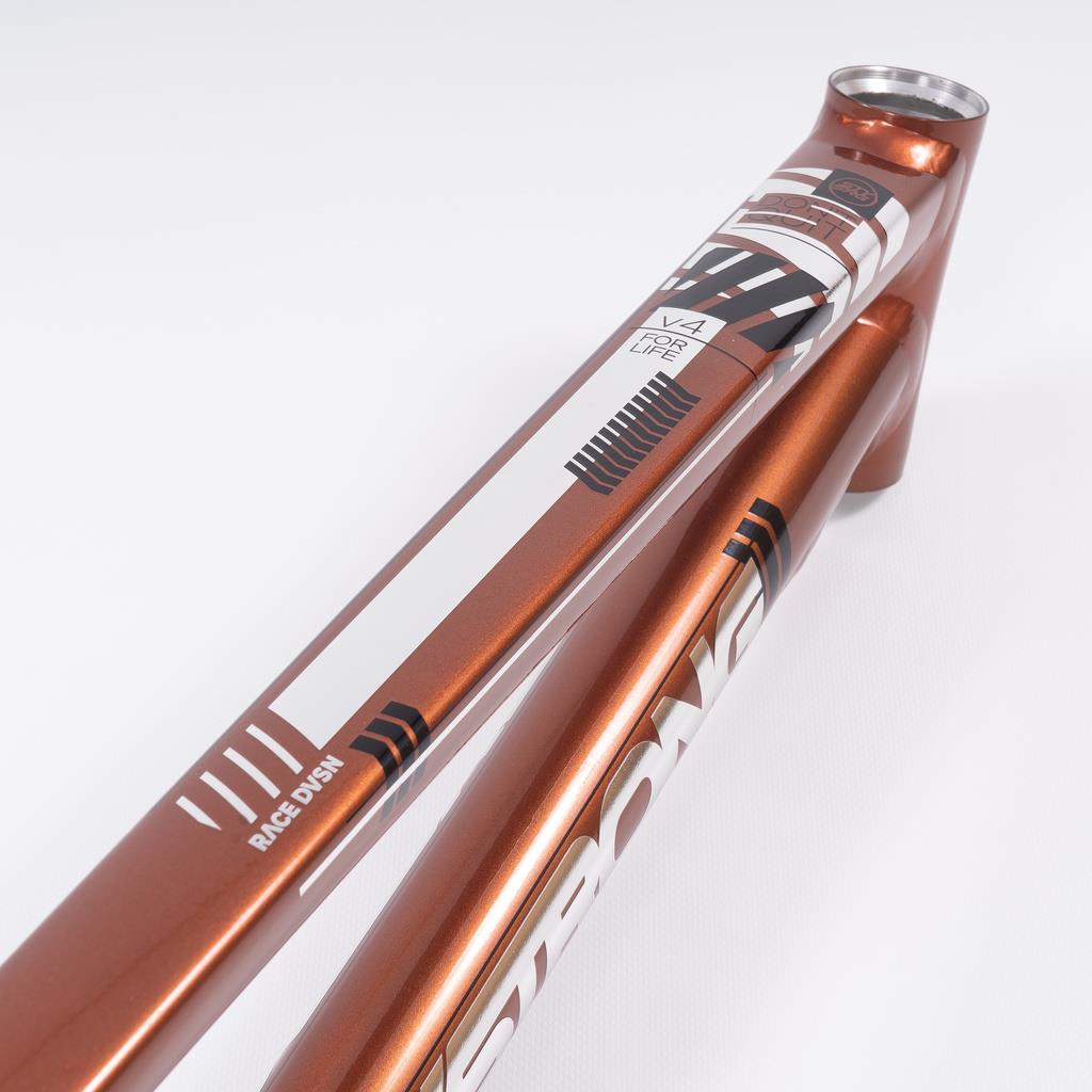  Stay Strong For Life 2023 V4 Expert Race Frame、mySite、merchandisen