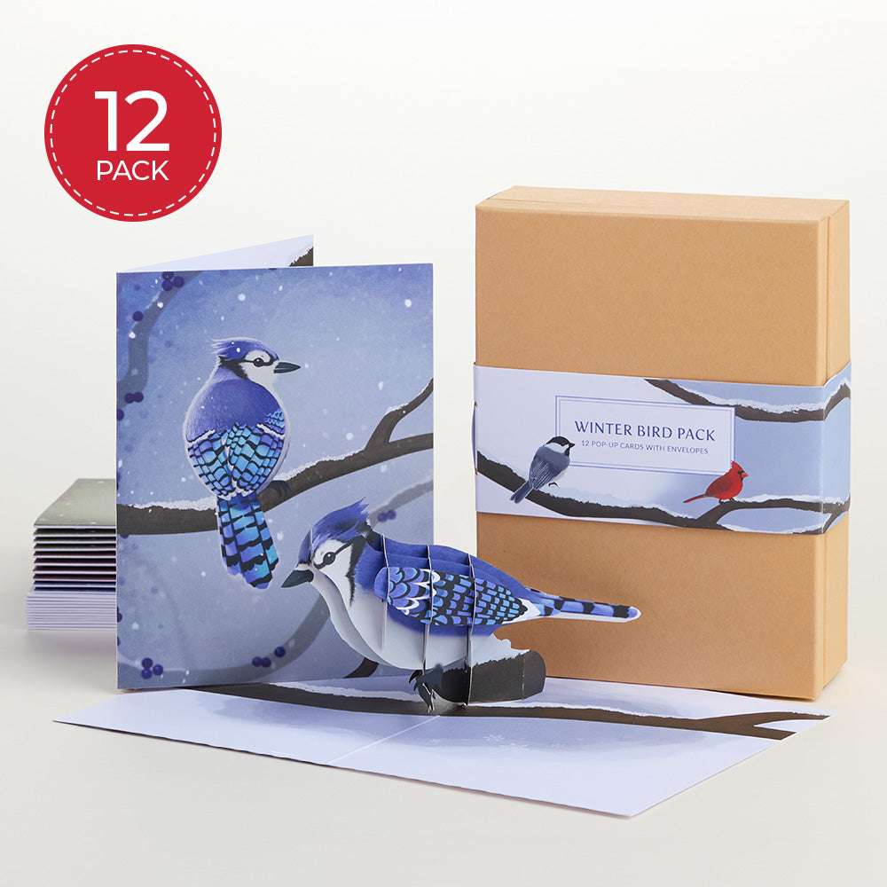 Winter Bird Box Set (Assorted 12-Pack): Paperpop® Card、mySite、solidvoid