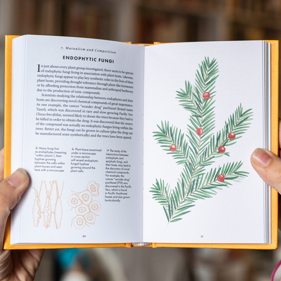 The Little Book of Fungi、mySite、topwebapps