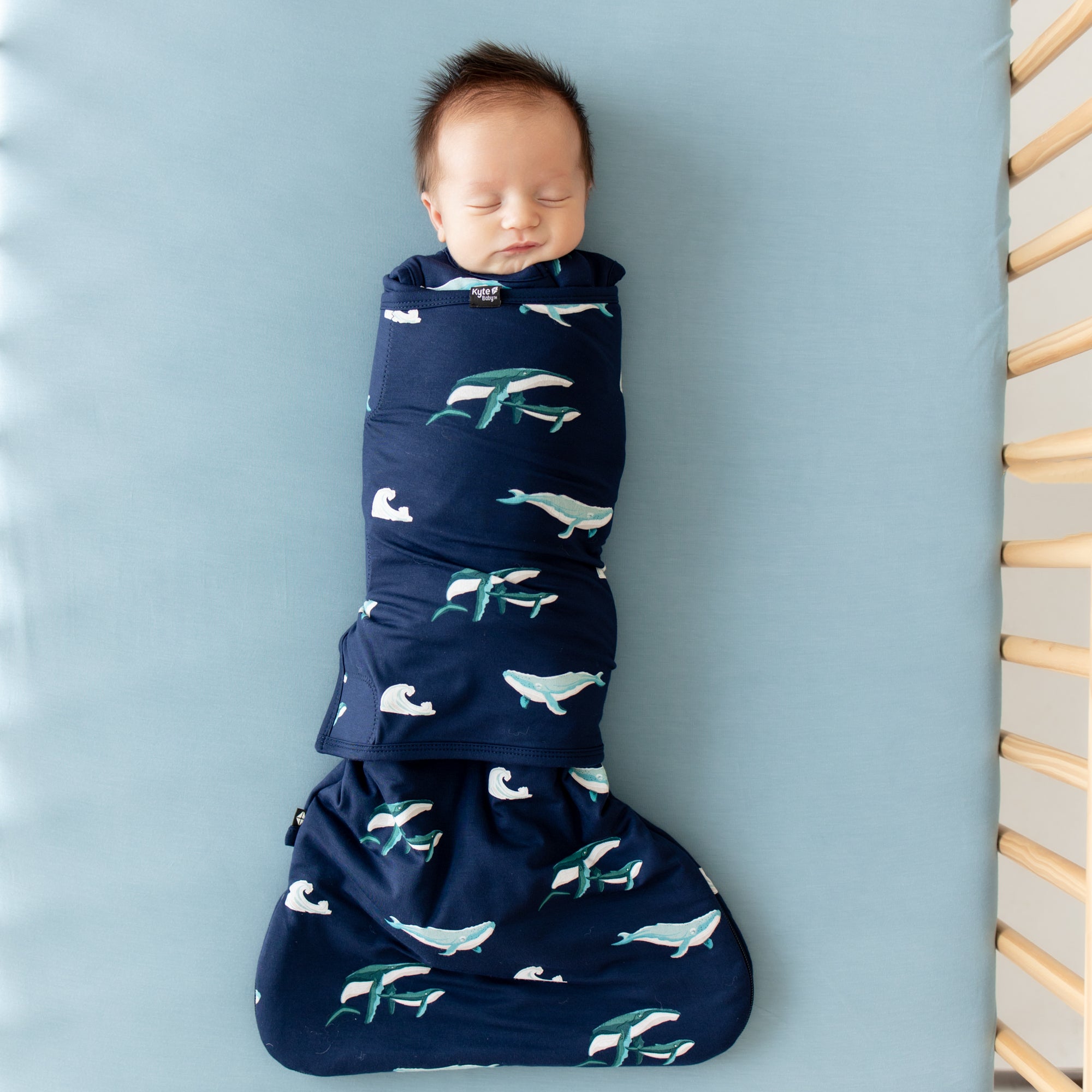  Sleep Bag Swaddler in Humpback 1.0、mySite、layawaytickets