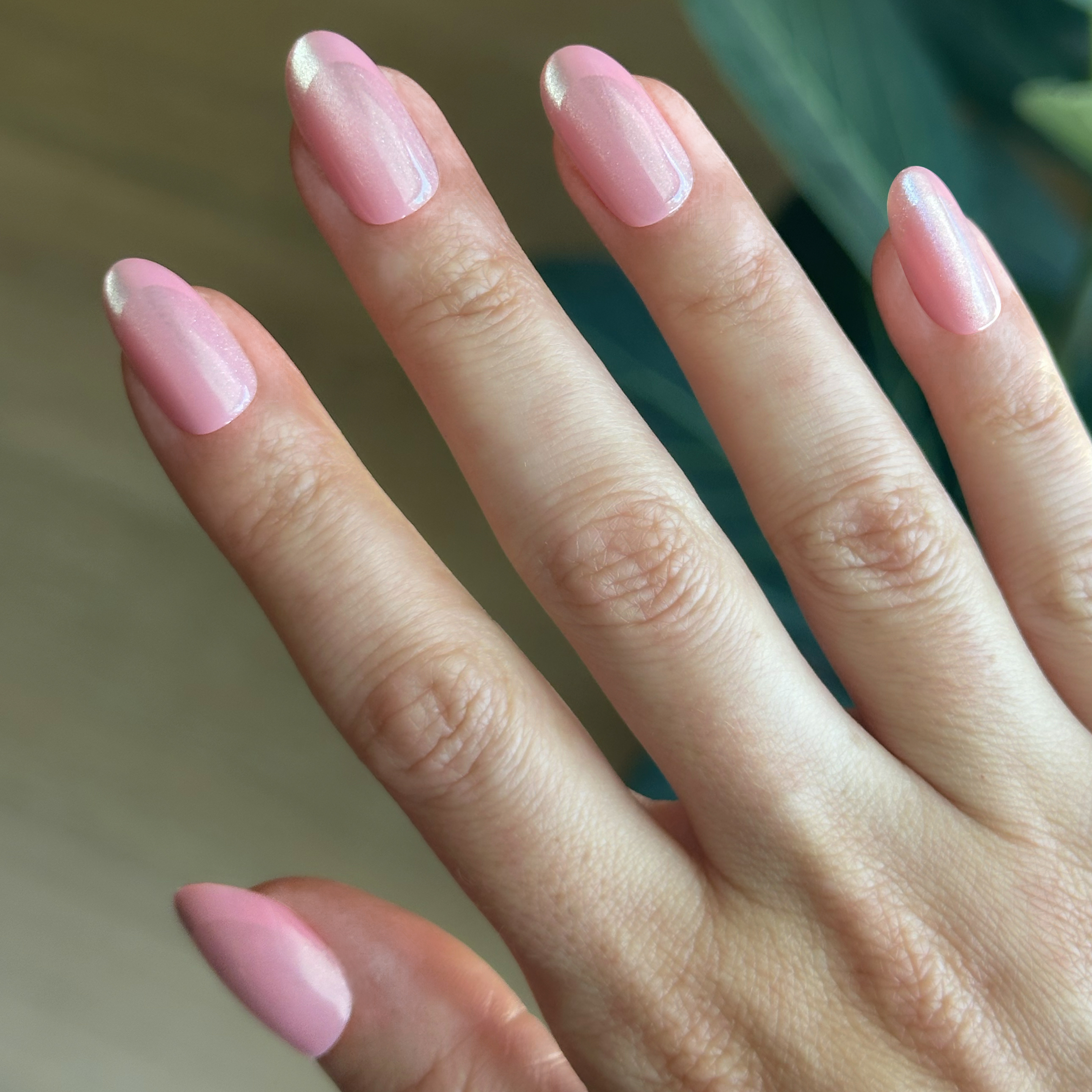 Peach Illusion French - Press-On | Medium | Oval、mySite、solidvoid