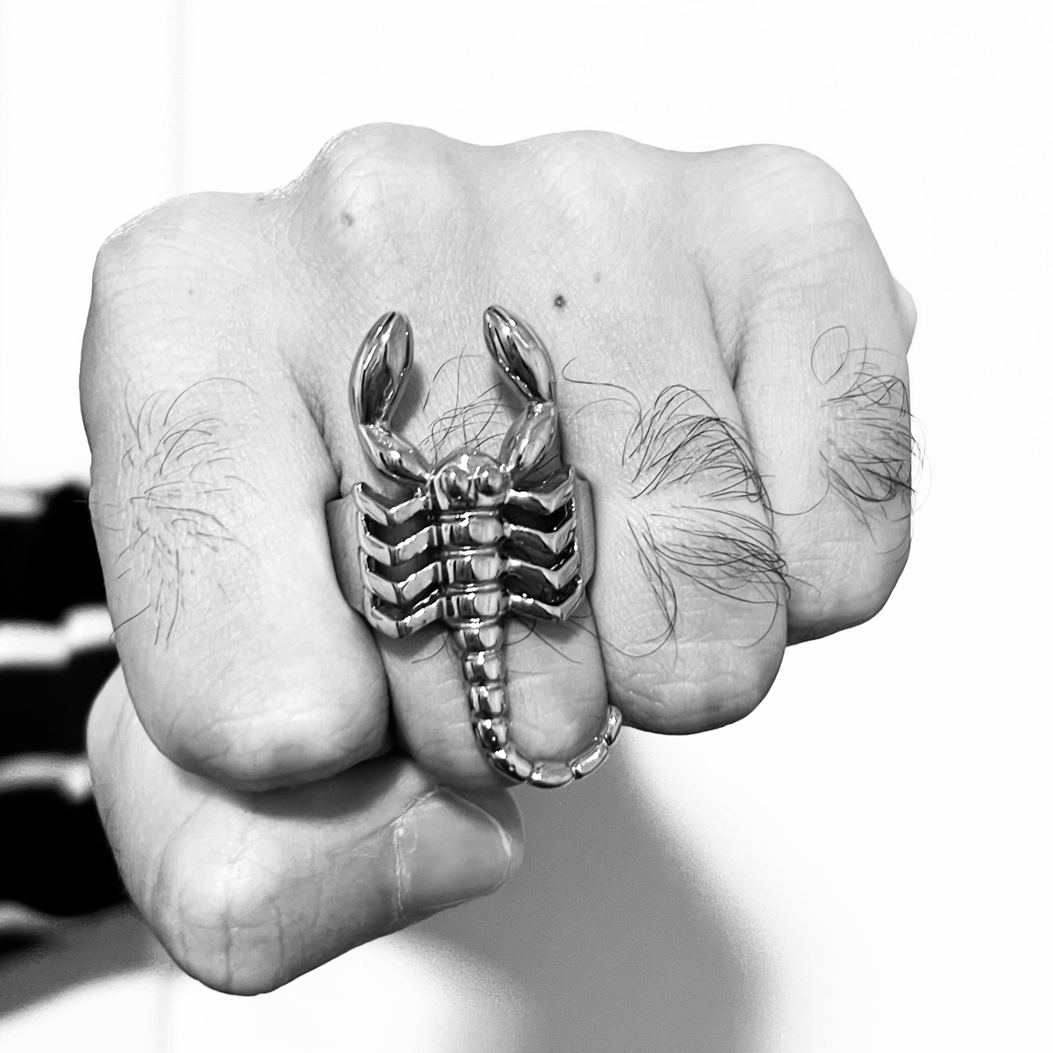 Stainless Steel PVD Coated Scorpion Men's Ring / SCR4100、mySite、dreamappss