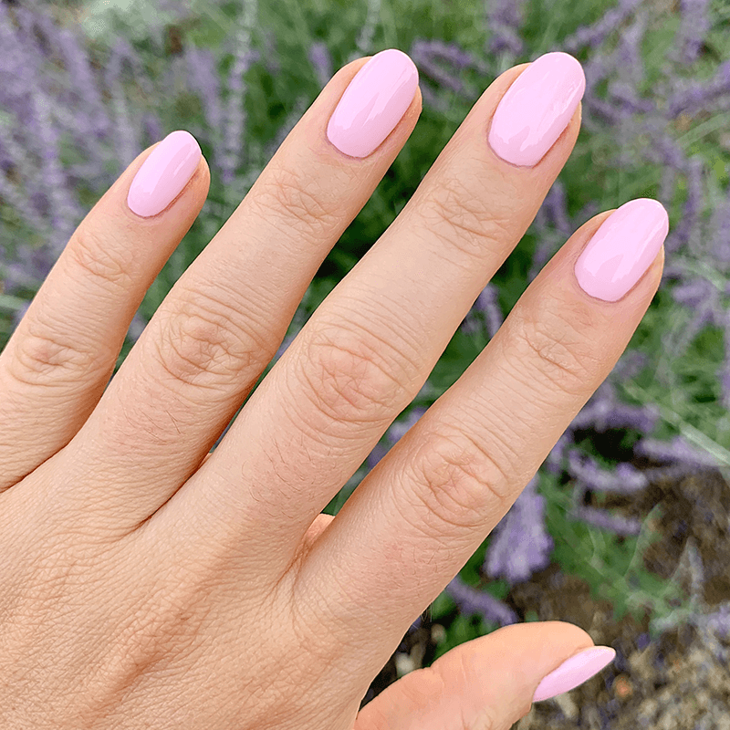 SCL、mySite、solidvoid