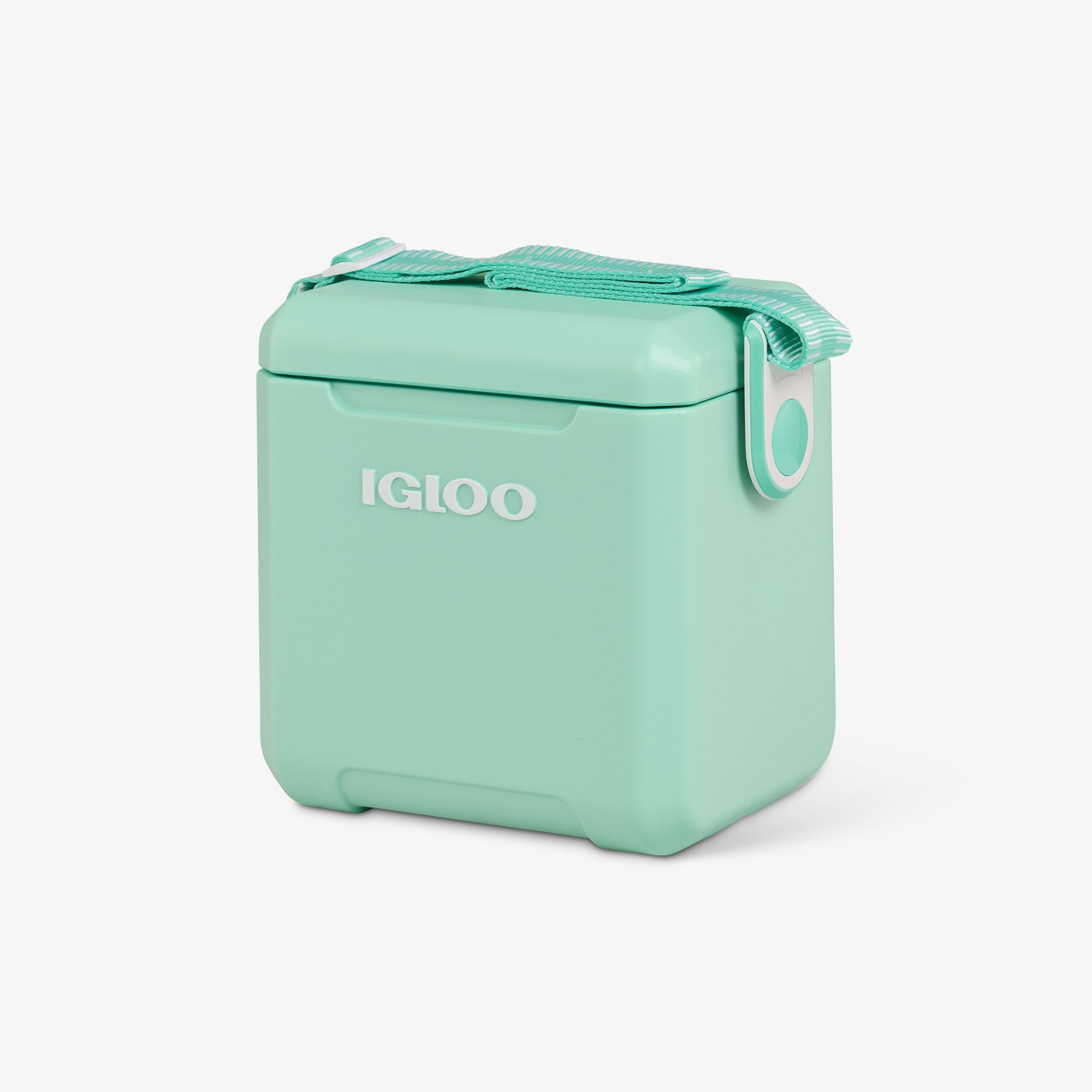 Tag Along Too Cooler、mySite、noshort