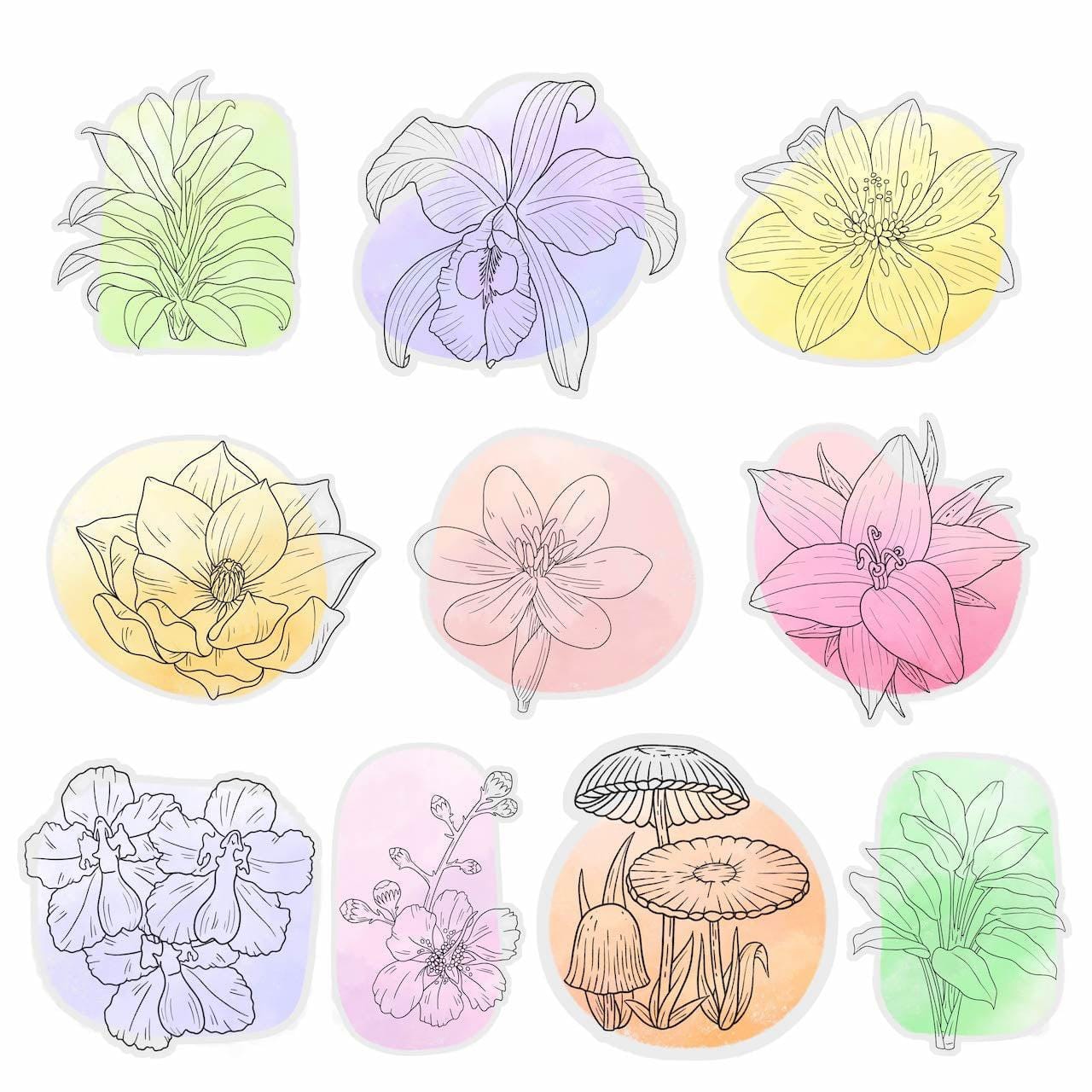  Botanical Abstract Stickers 10 Pack、mySite、ghnorth