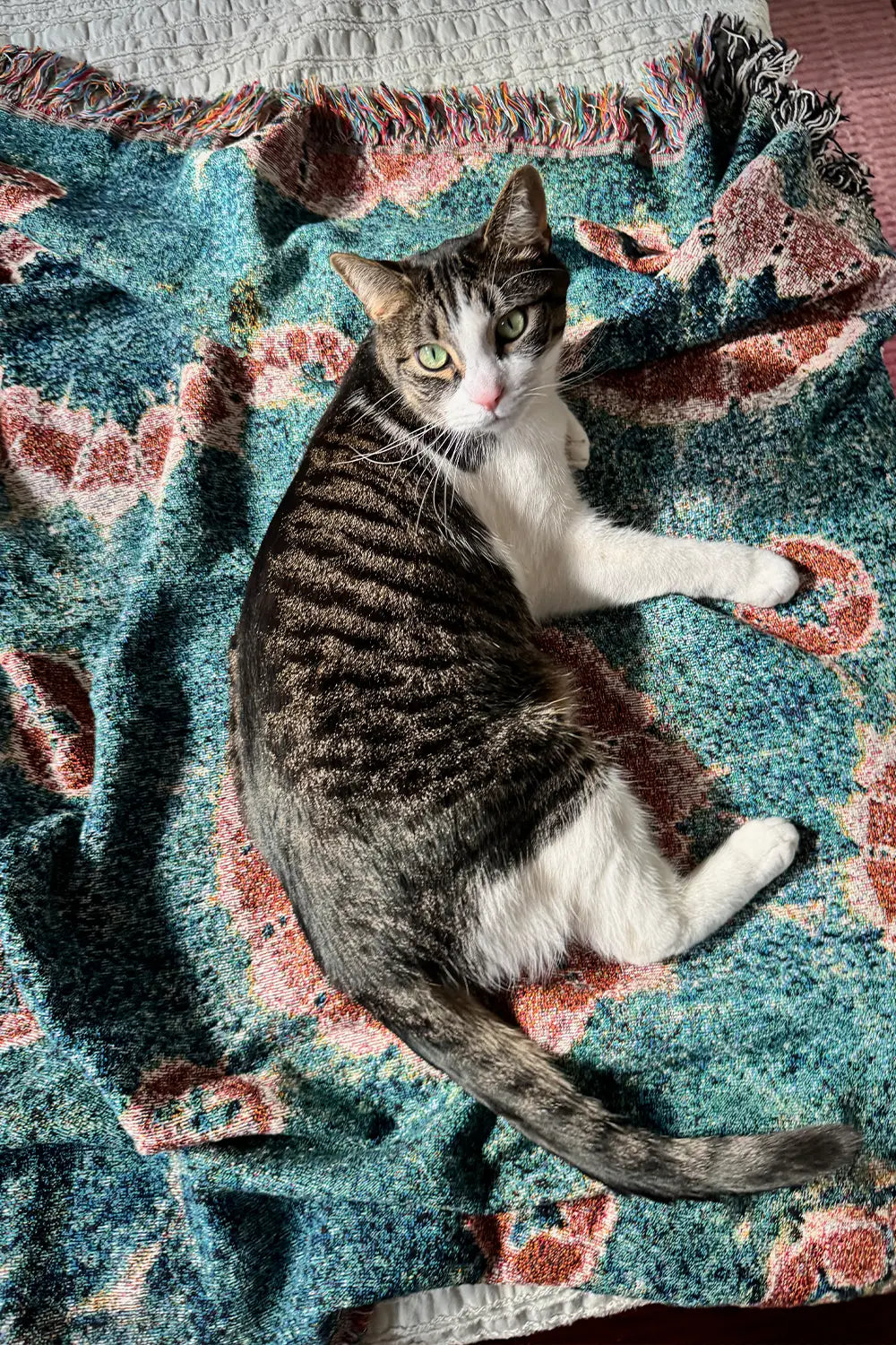 Navy and Rust Tie Dye Cotton Woven Throw Blanket、mySite、gigharbornorthrealestate