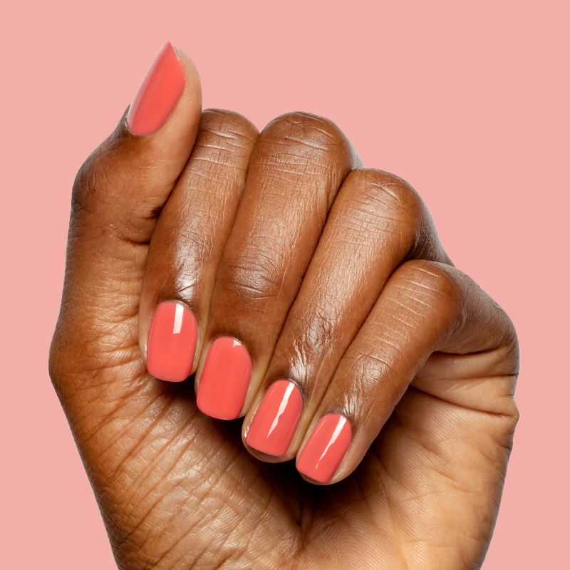 Field Day - Gel、mySite、solidvoid