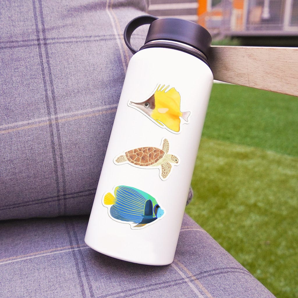  Tropical Fish 6 Pack、mySite、elrpsem3k