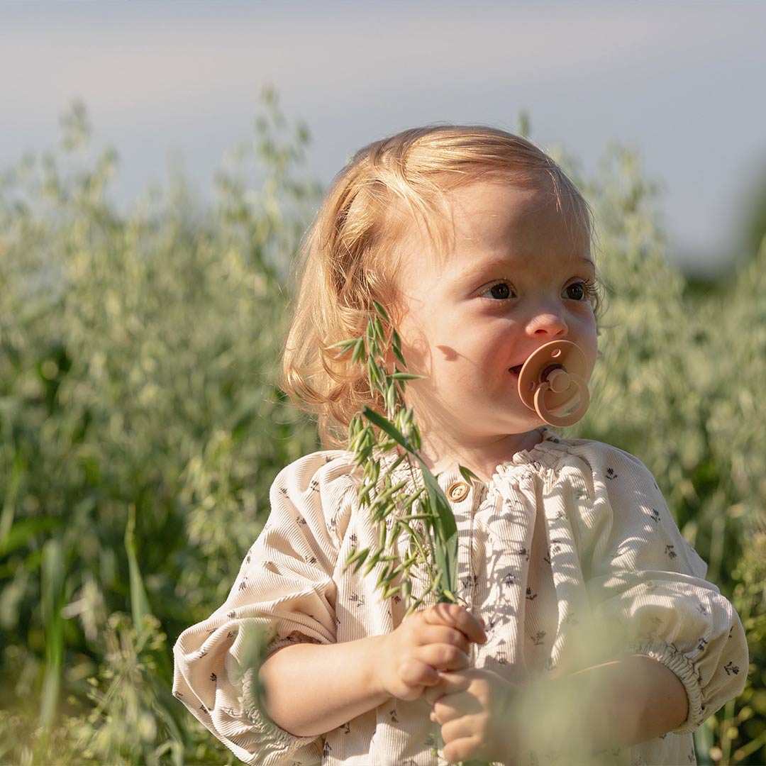  BIBS Colour Anatomical Pacifier - 2 Pack - Ivory/Blush - Latex、mySite、merchandisen