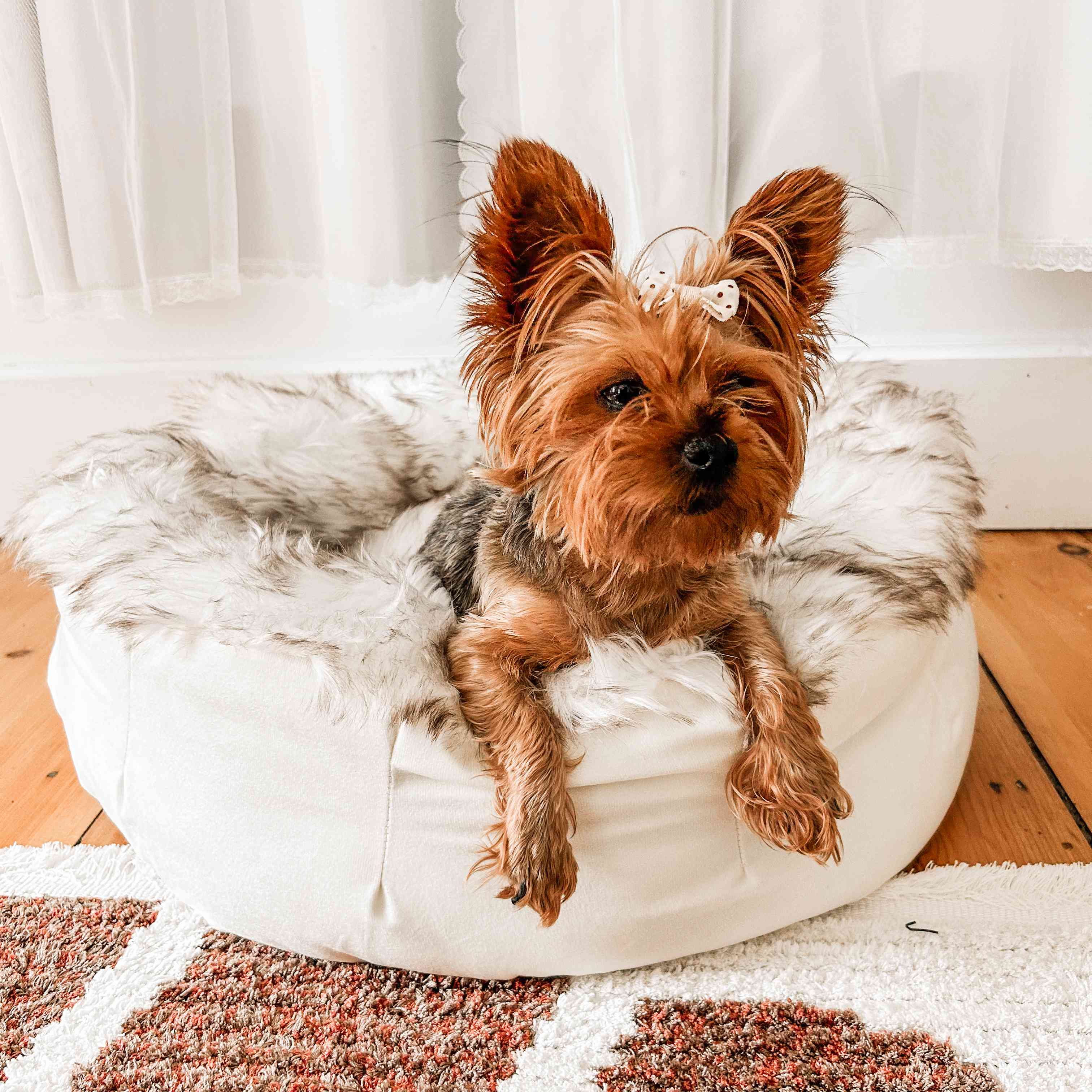 PupPouf™ Faux Fur Donut Dog Bed - White with Brown Accents、mySite、solidvoid