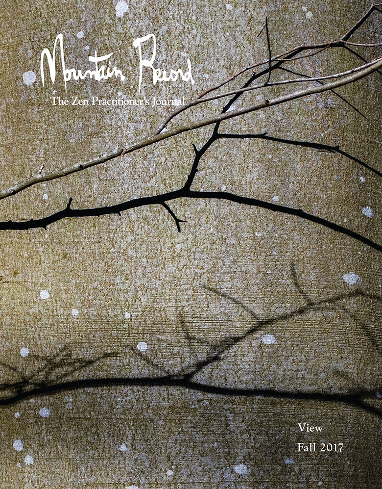 View - Mountain Record, Vol. 36.1, Fall 2017、mySite、topwebapps