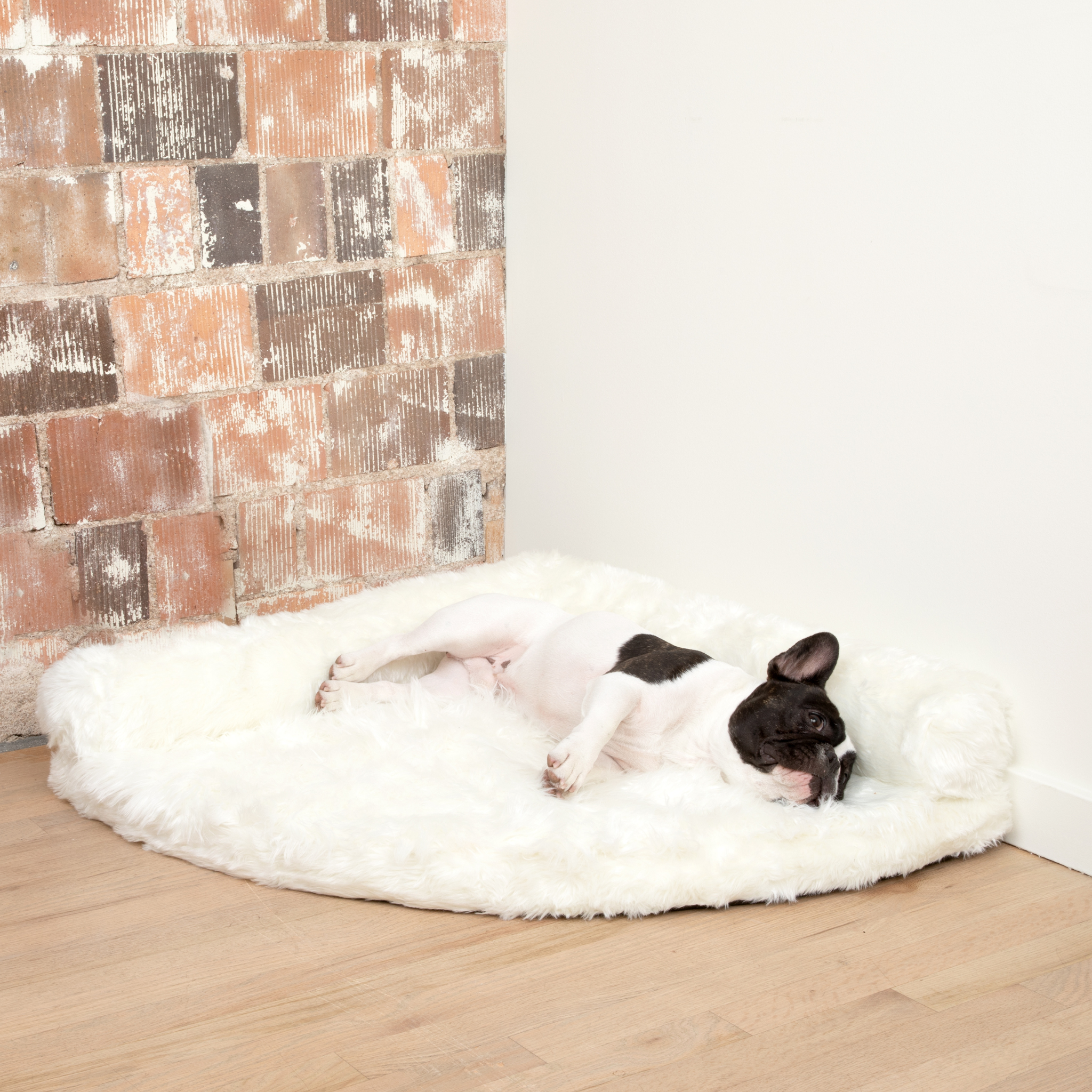 PupRug™ Memory Foam Corner Dog Bed - Polar White、mySite、solidvoid