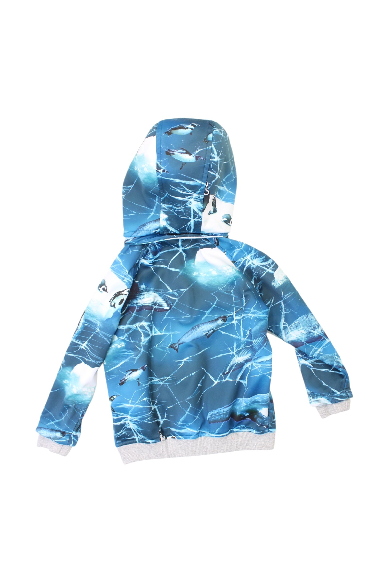 Molo Penguin Rain Jacket 3T、mySite、g9winljtr