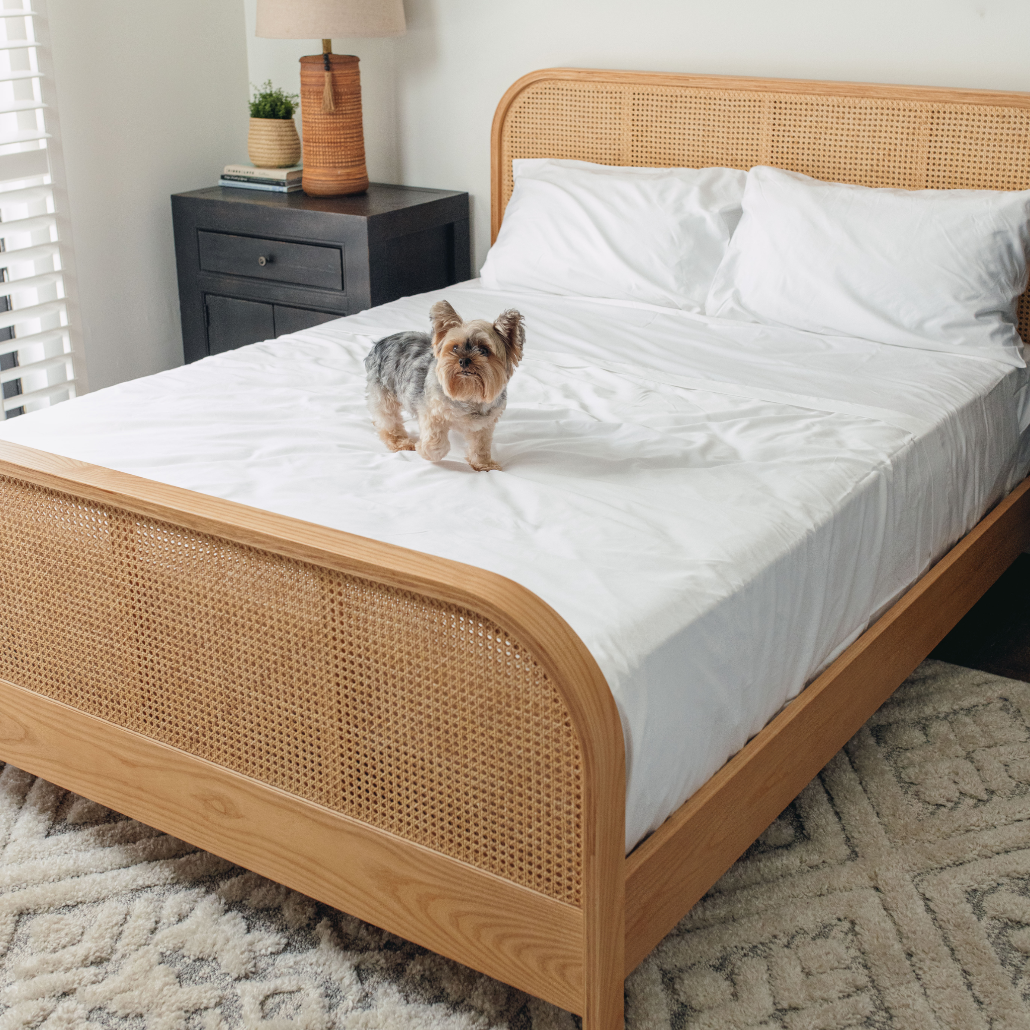 PupSheets™ Hair Resistant, Antimicrobial & Cooling Sheet Set - White、mySite、solidvoid