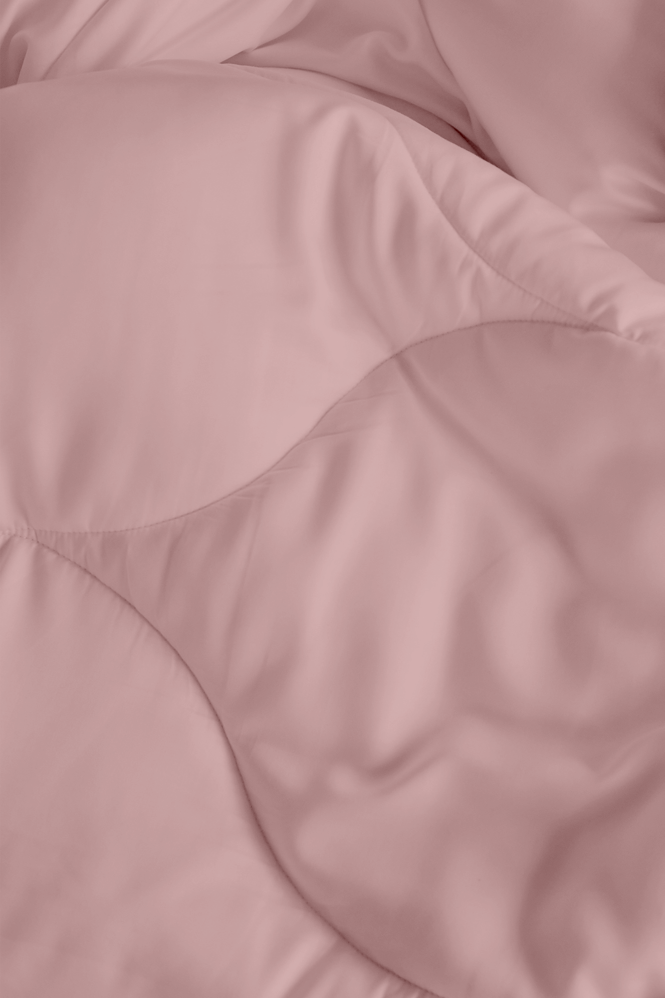  Cloud Comforter、mySite、sugarbowlscore