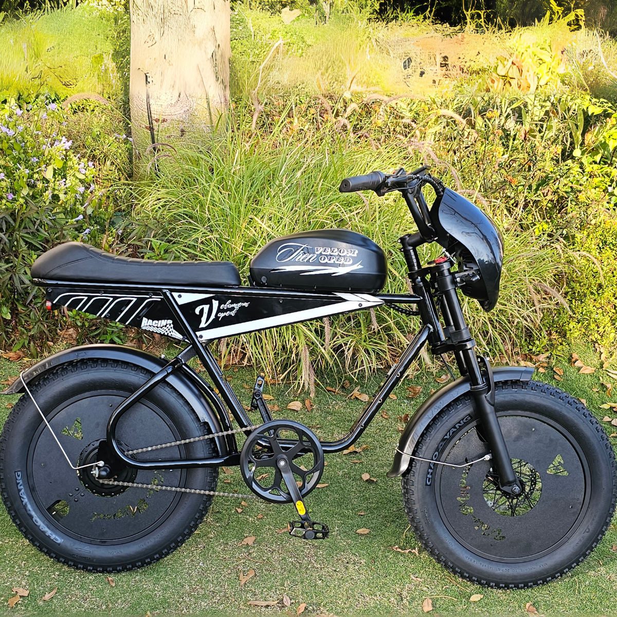 Aipas® Ebike Combo Sale V1*2、mySite、gigharbornorthrealestate