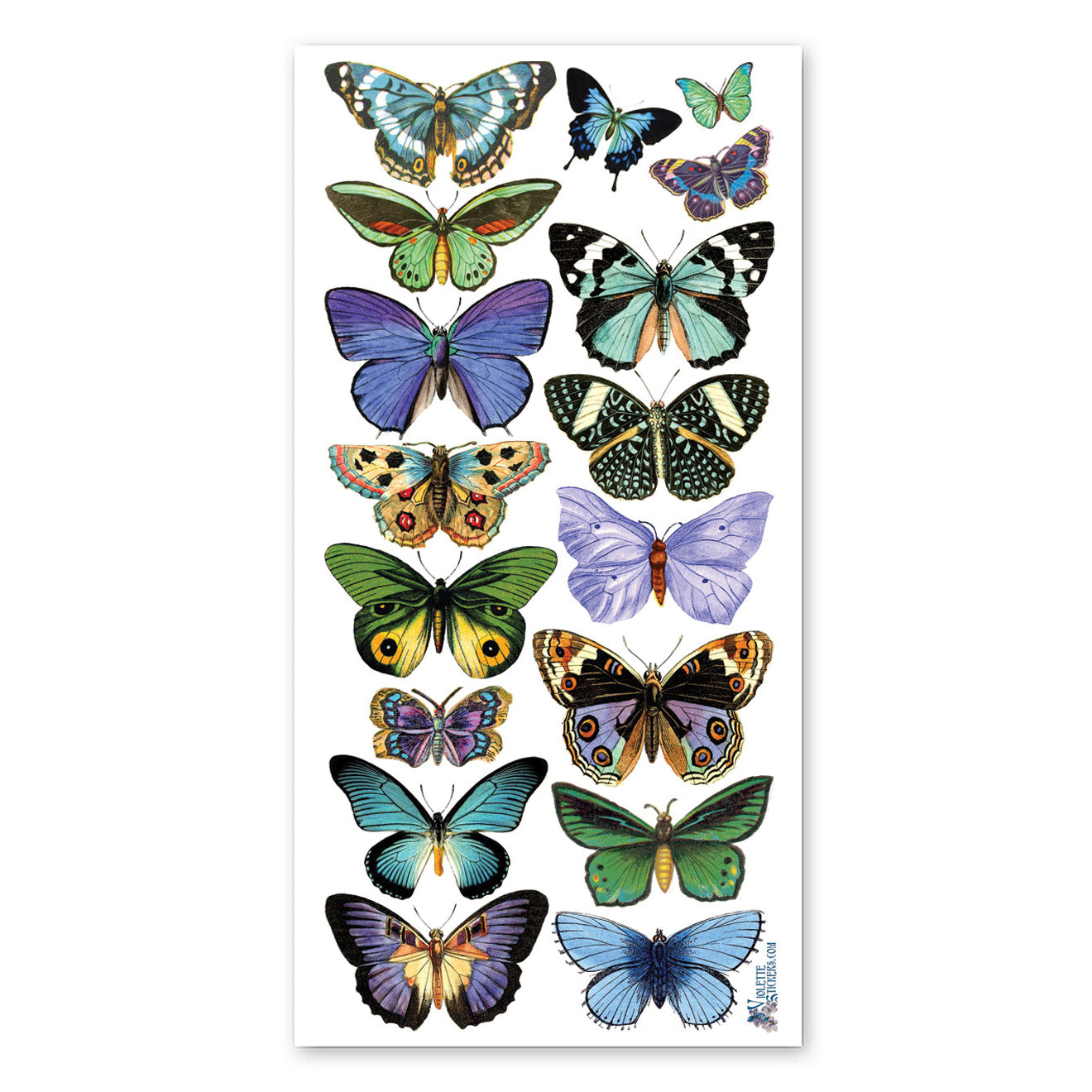  Blue Butterflies Stickers、mySite、ghnorth