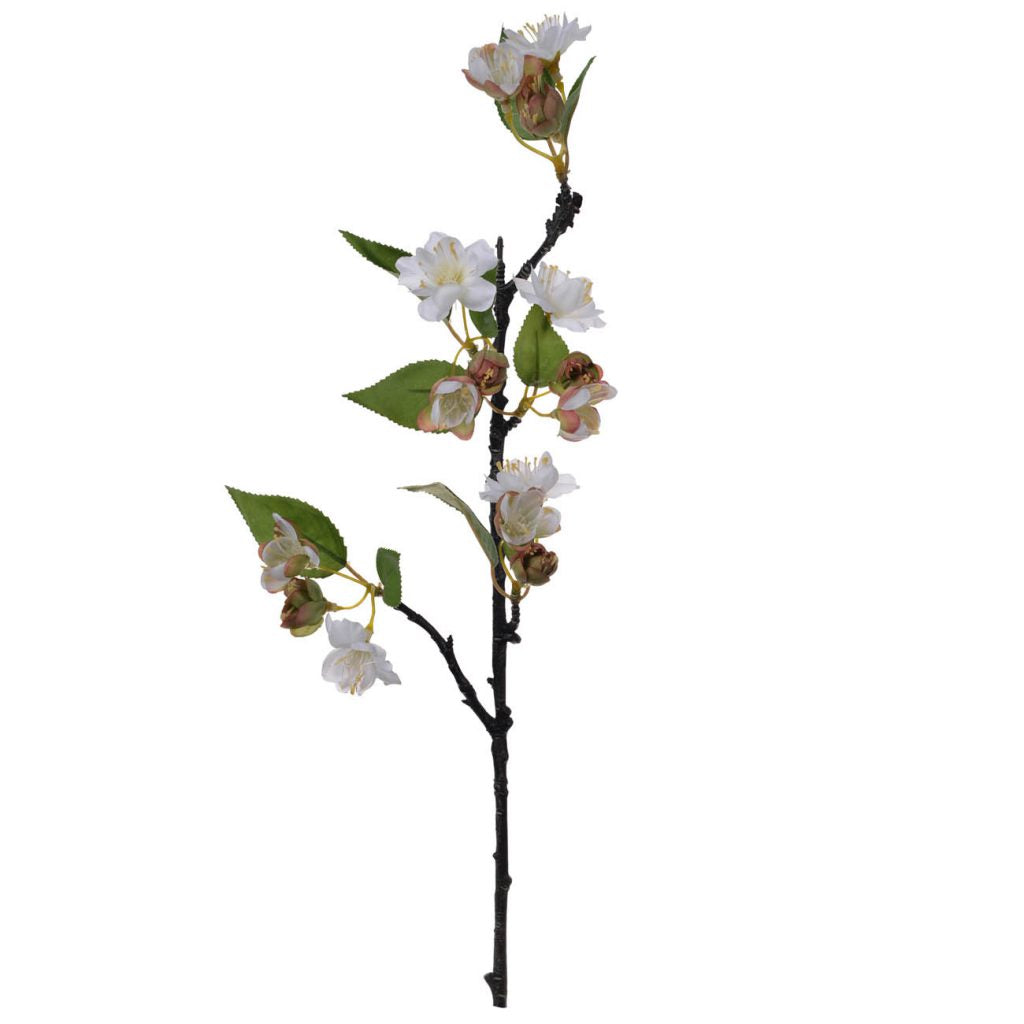  Blossom Stem、mySite、elrpsem3k