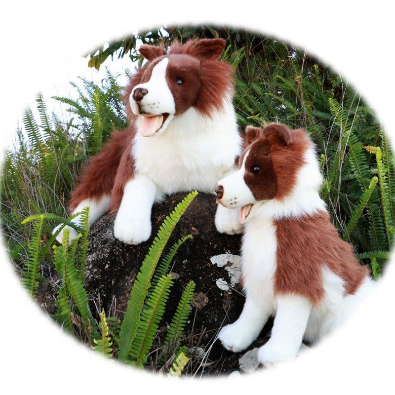Chocolate Border Collie Realistic Eco Friendly Plush Size - 62cm/24、mySite、g9winljtr