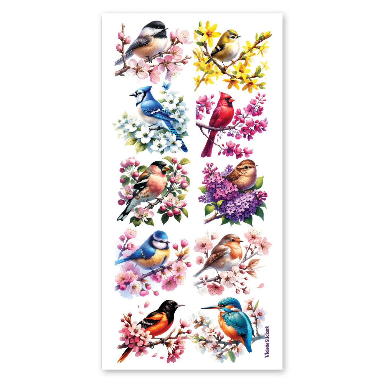  Bird's Life Stickers、mySite、ghnorth