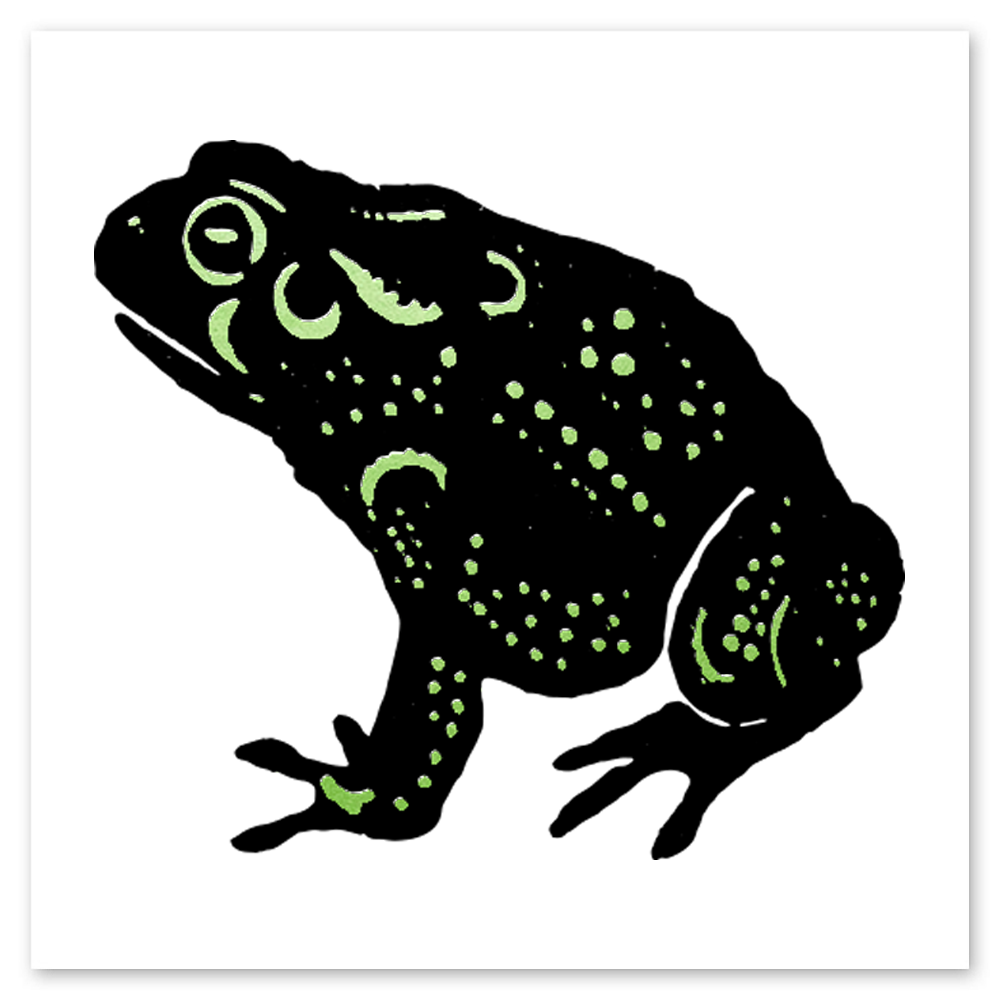  Speckled Foil Frog Metallic Tattly Temporary Tattoos、mySite、ghnorth