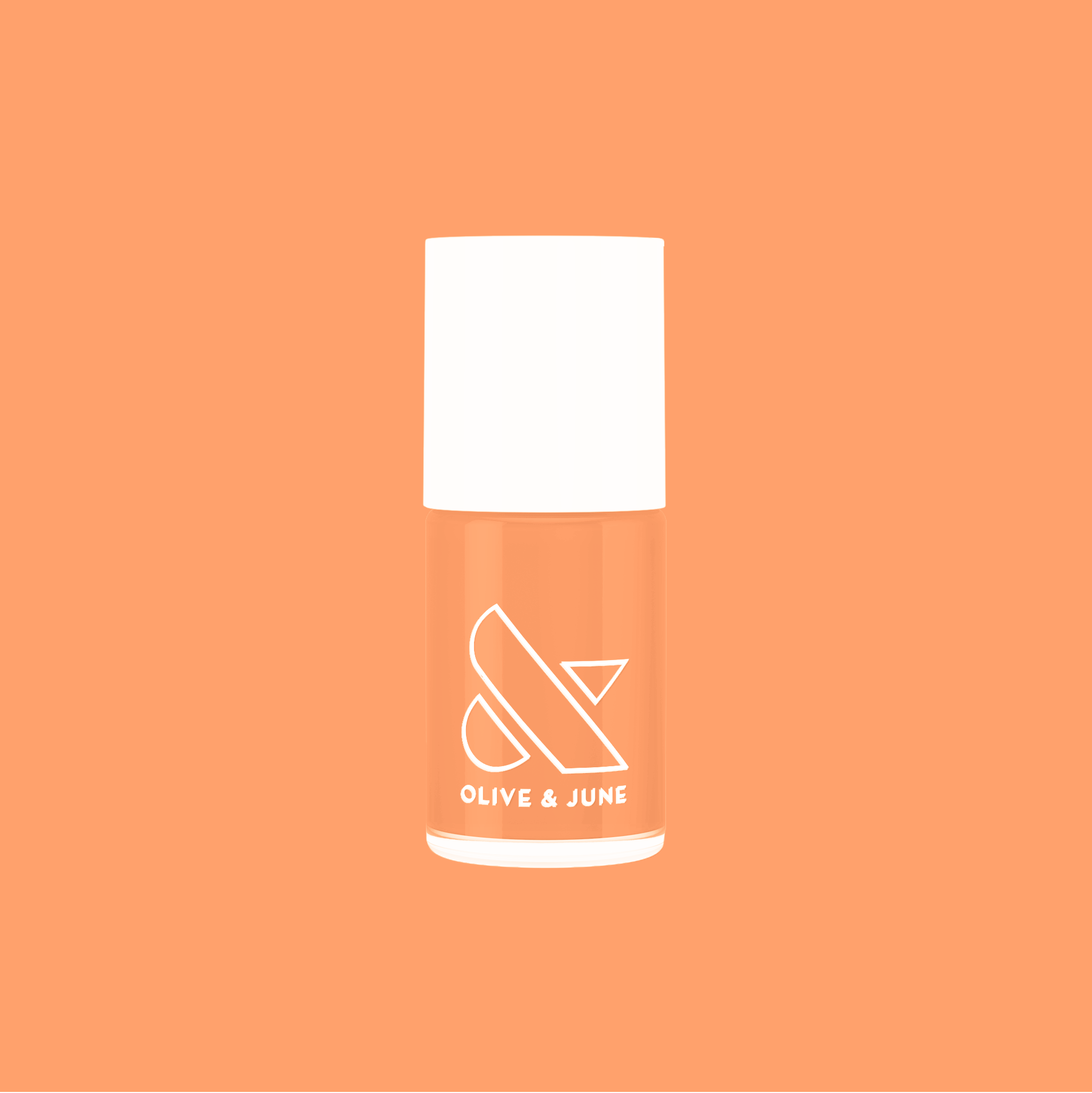 Counselor In Training、mySite、solidvoid