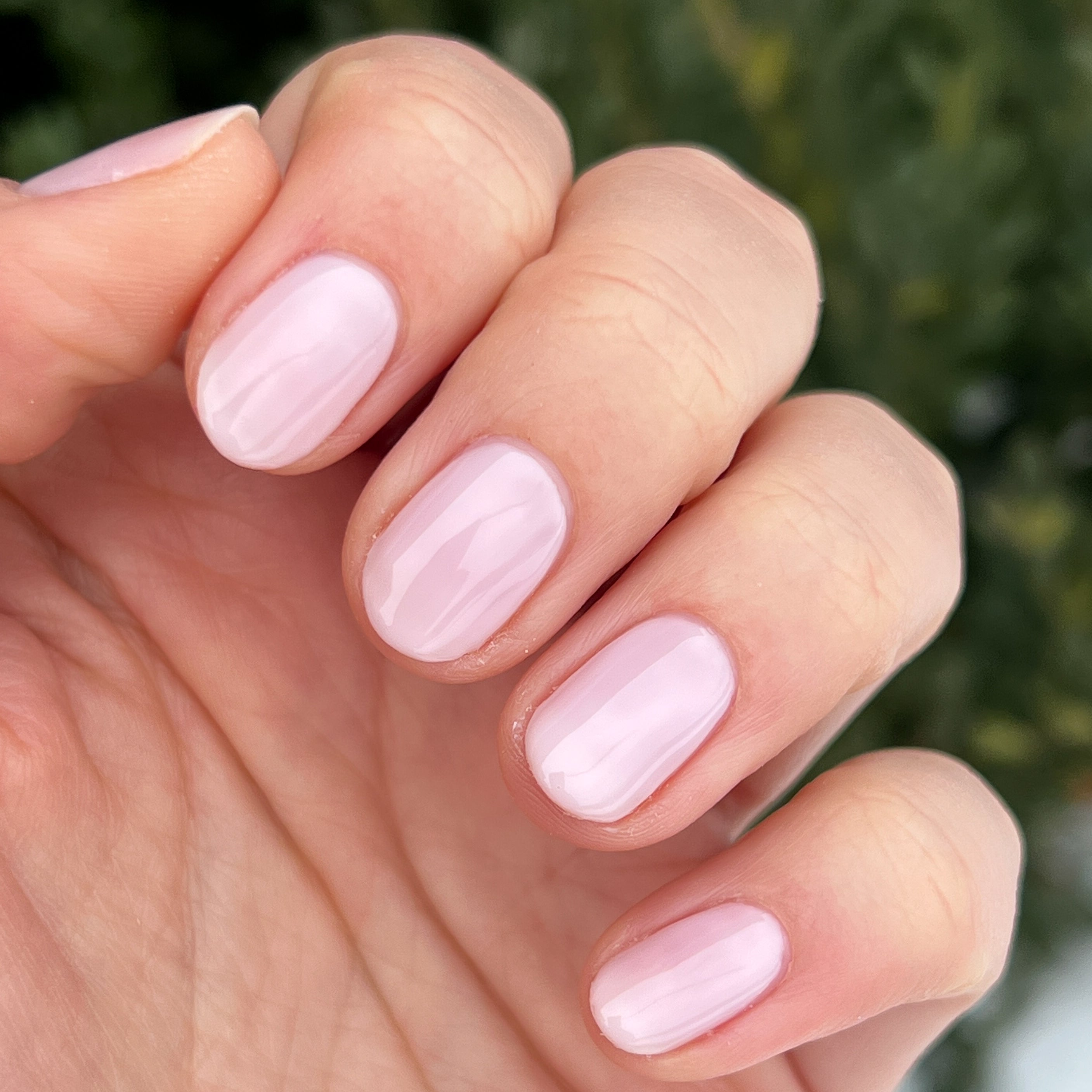 Strawberry Scone、mySite、solidvoid