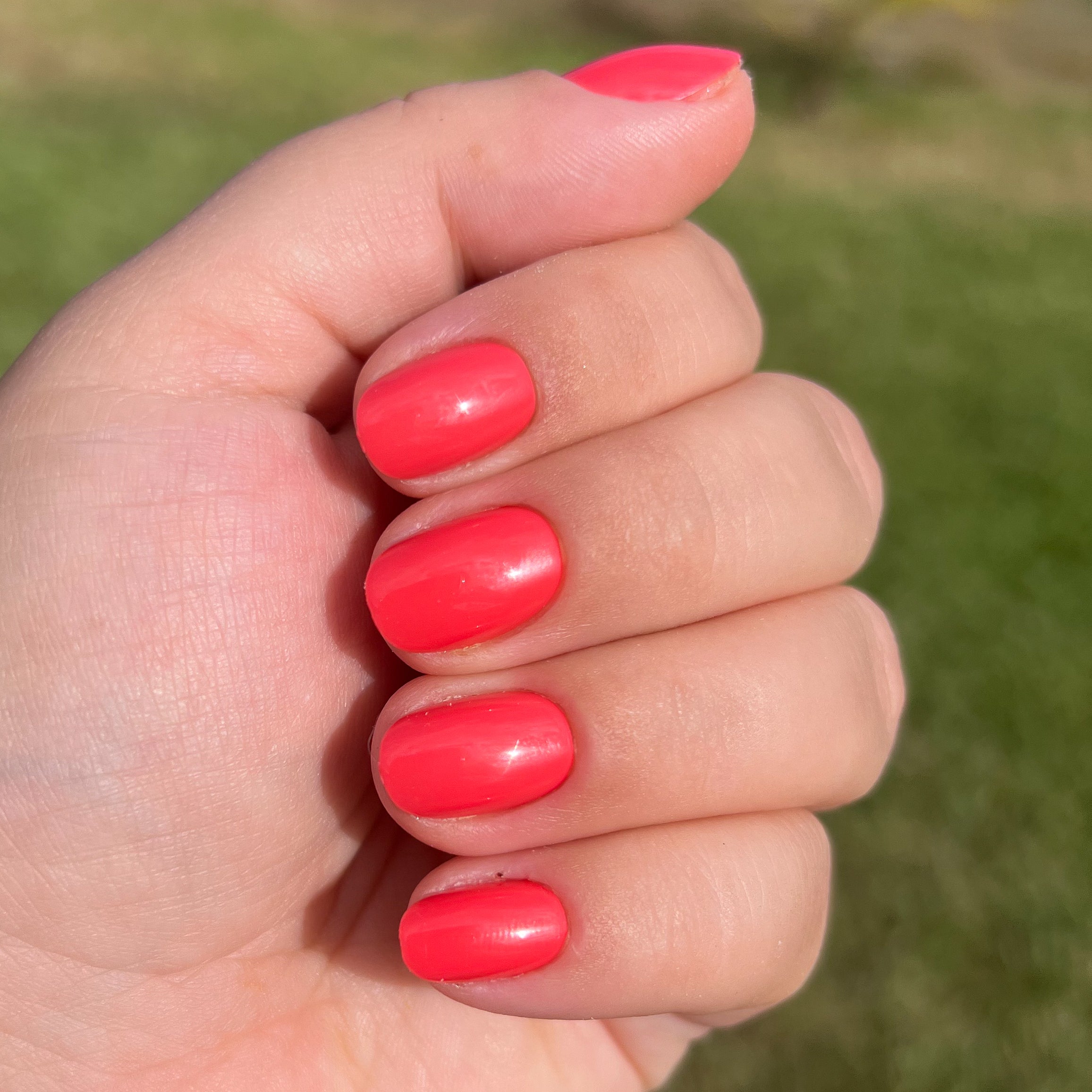 Field Day | Round | Extra Short、mySite、solidvoid