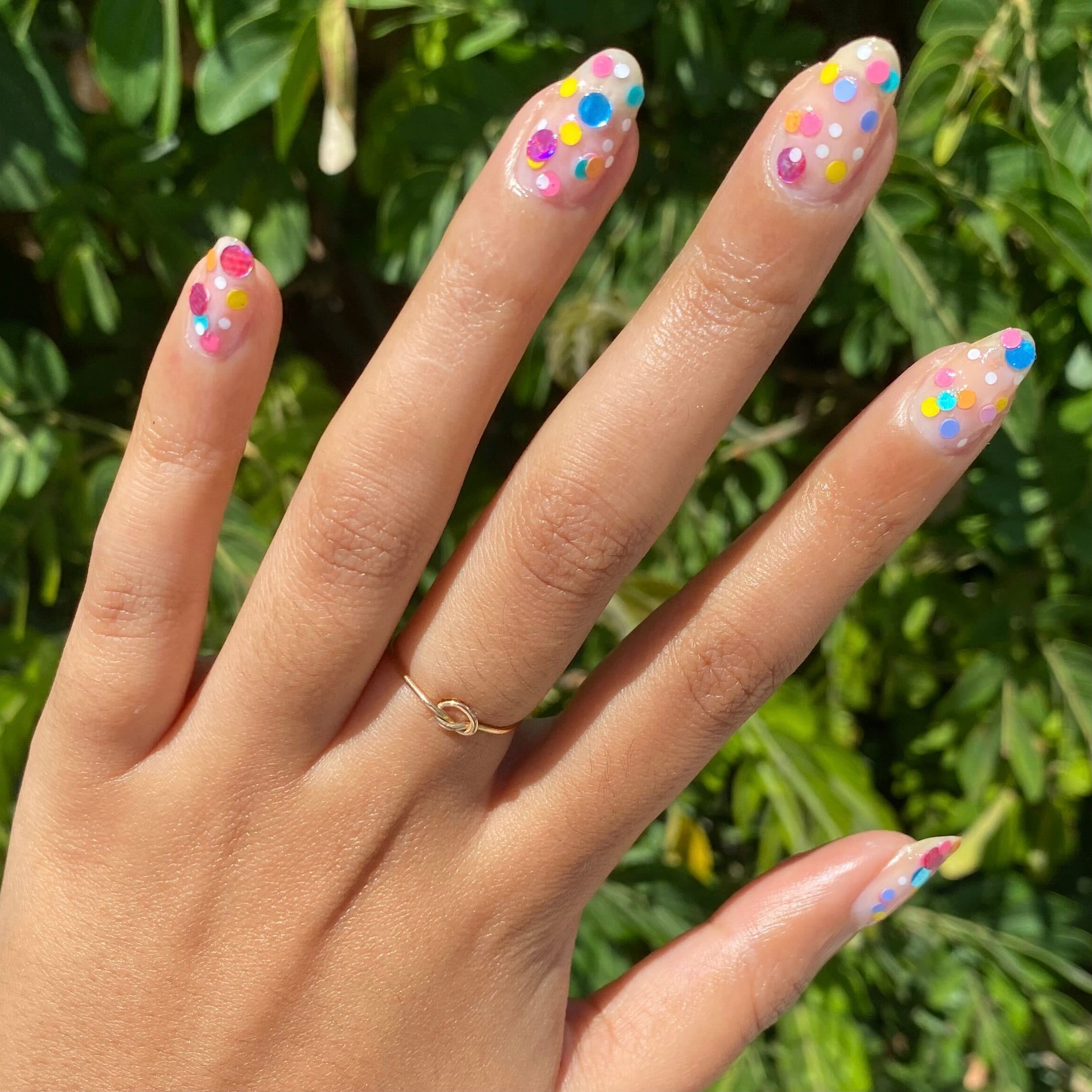 Sprinkle Cookie、mySite、solidvoid