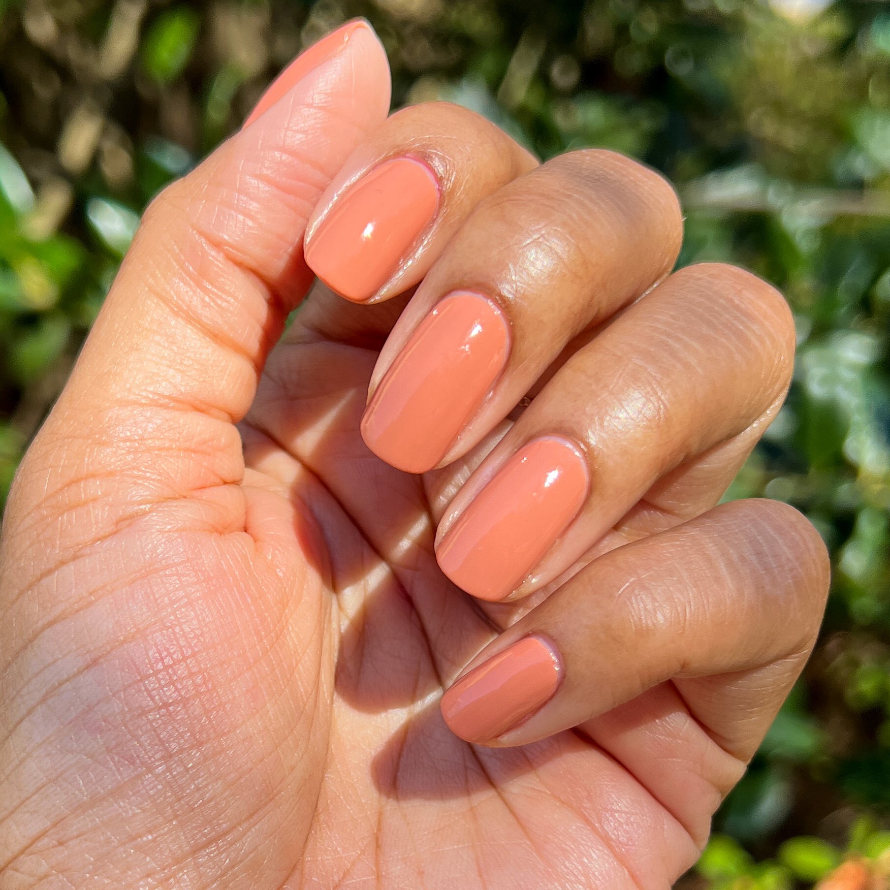 Start Small、mySite、solidvoid