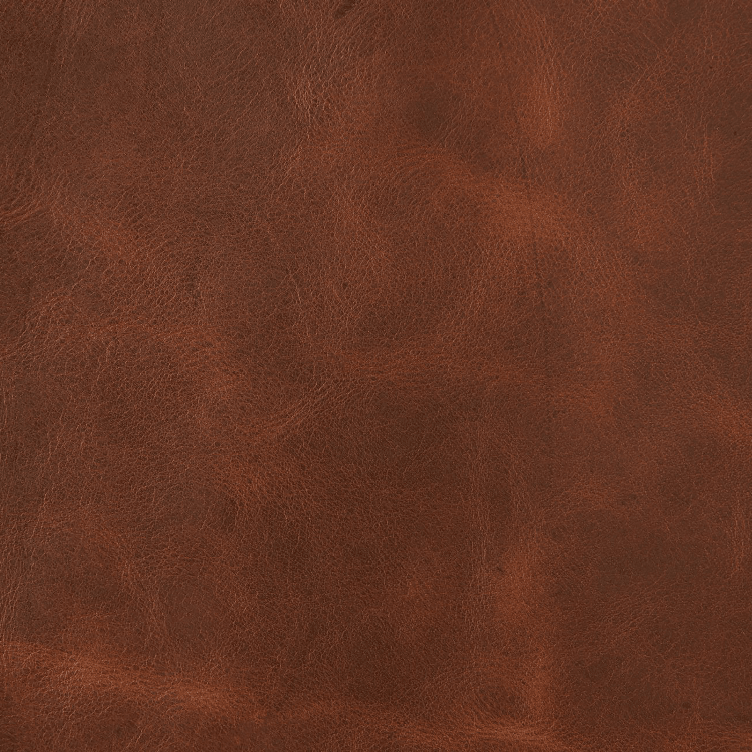 Grade 500: Spur Terracotta、mySite、neckold