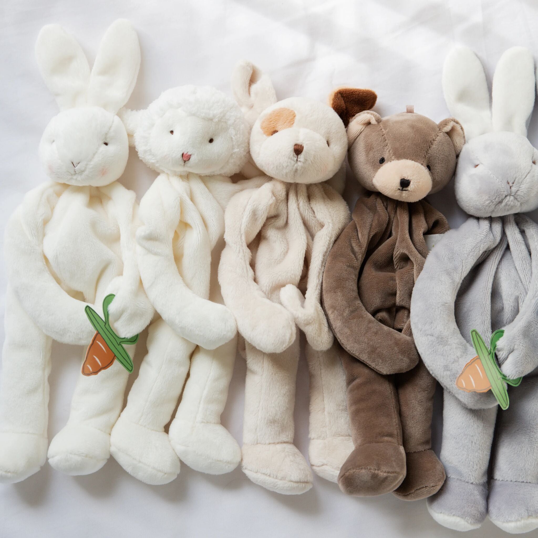 Kiddo Silly Buddy、mySite、g9winljtr