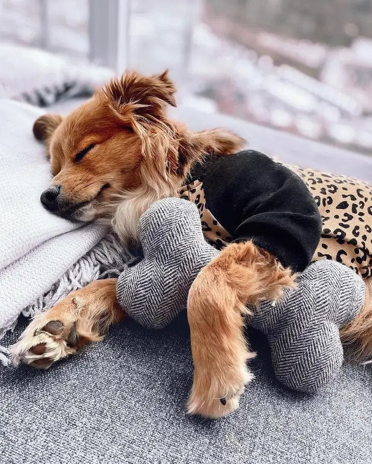 Rooterville Tweed Dog Toy Four Sizes-TOUGH, ECO-FRIENDLY, MADE IN THE USA、mySite、g9winljtr