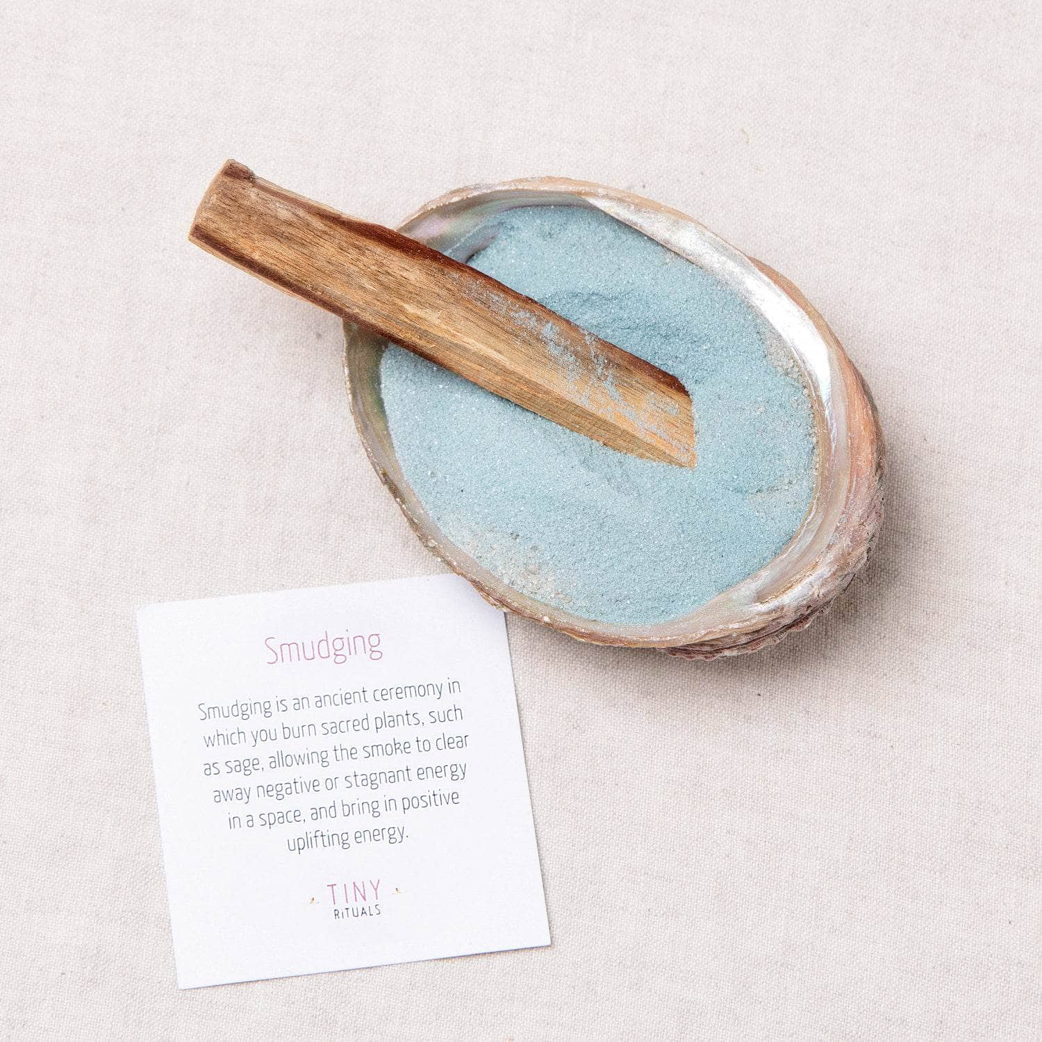 Small Abalone Shell Kit、mySite、hinf8tx79