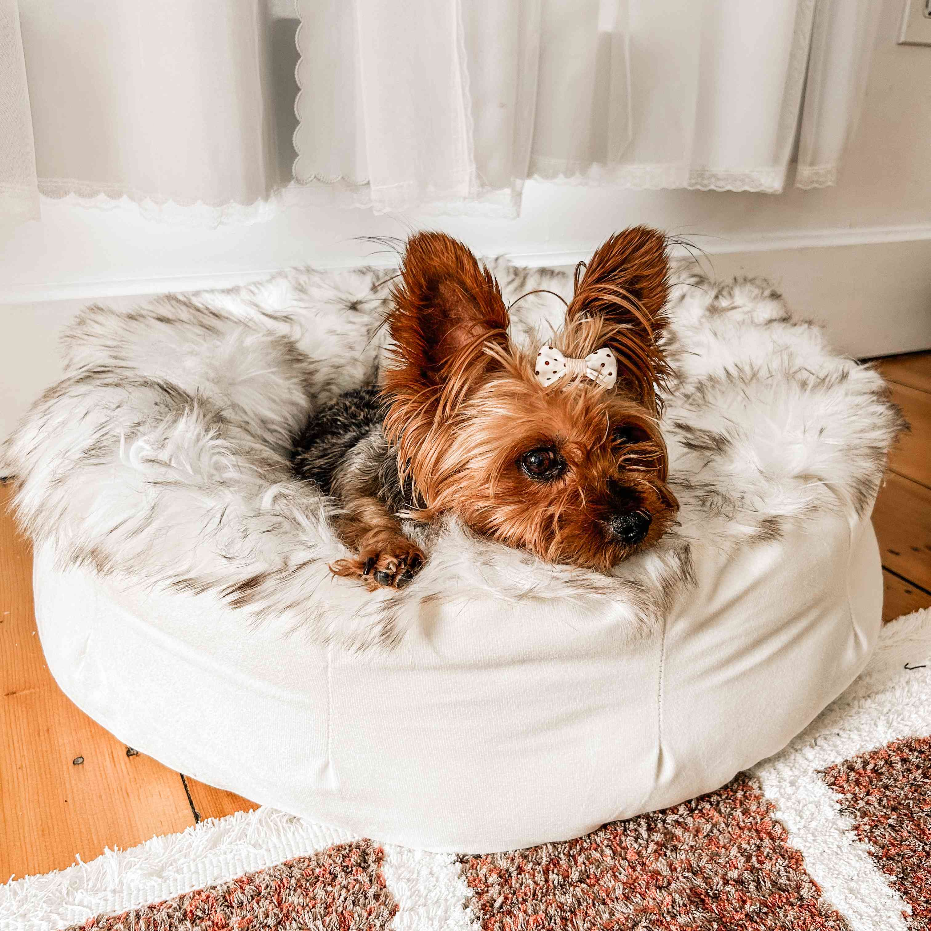 PupPouf™ Faux Fur Donut Dog Bed - White with Brown Accents、mySite、solidvoid