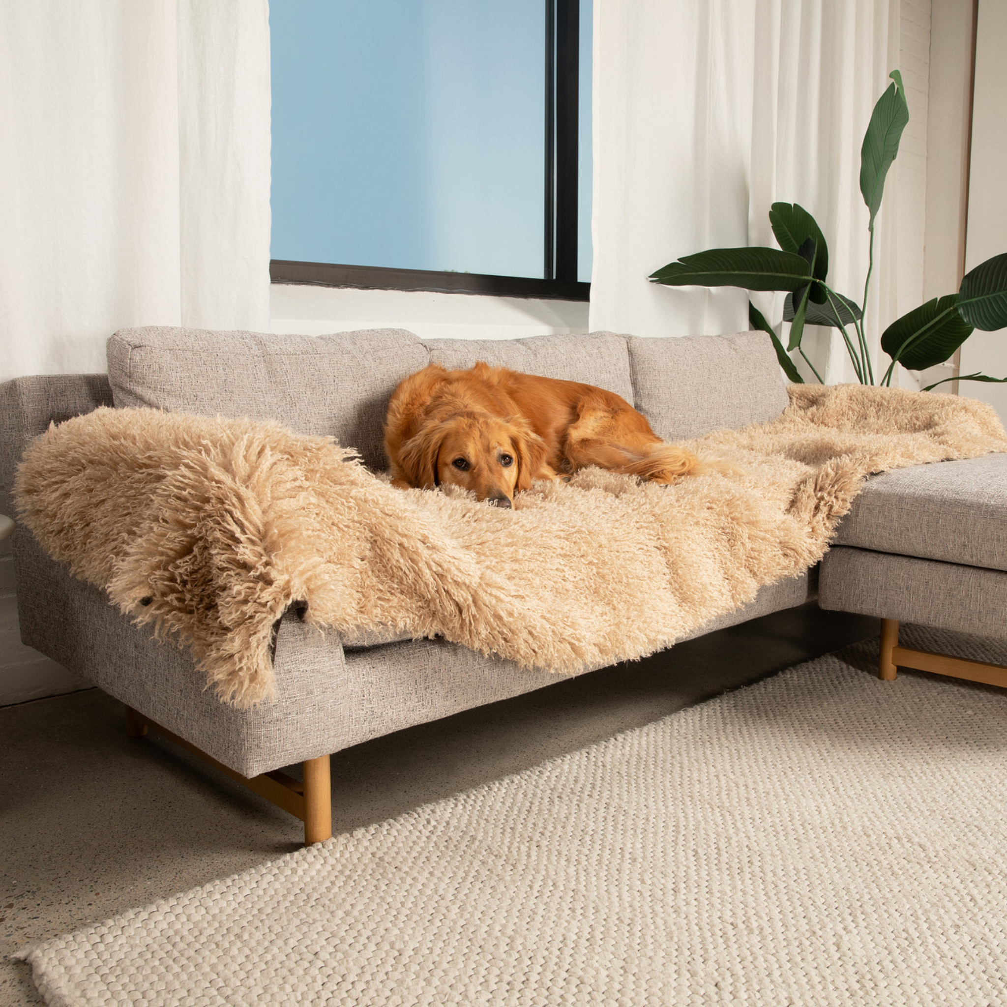 PupProtector™ Luxe Waterproof Bed Runner - Plush Sheep Tan、mySite、solidvoid