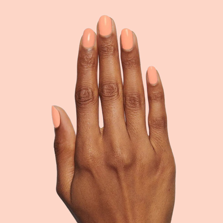 Wild & Free、mySite、solidvoid