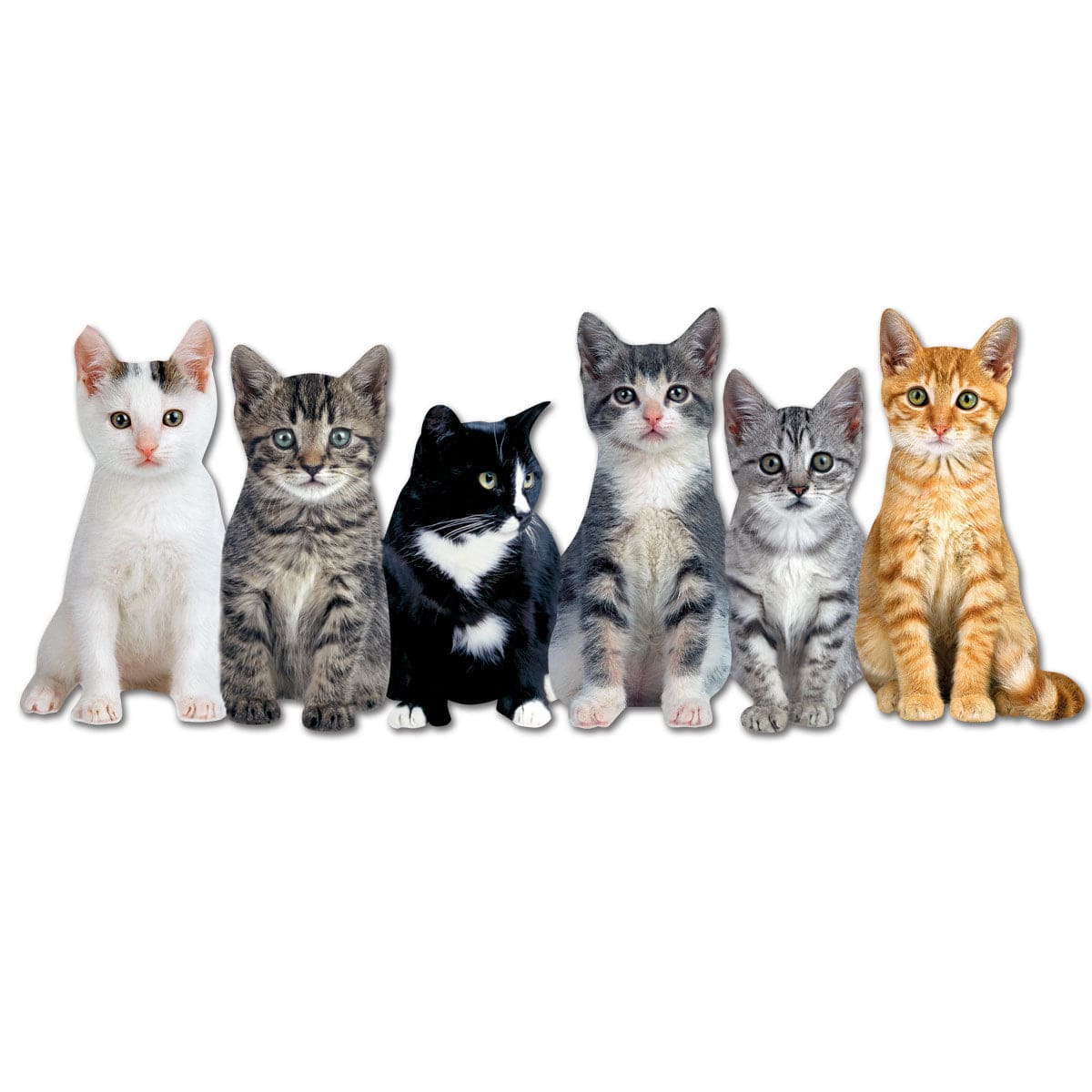  Note Card - Six Kittens、mySite、ghnorth