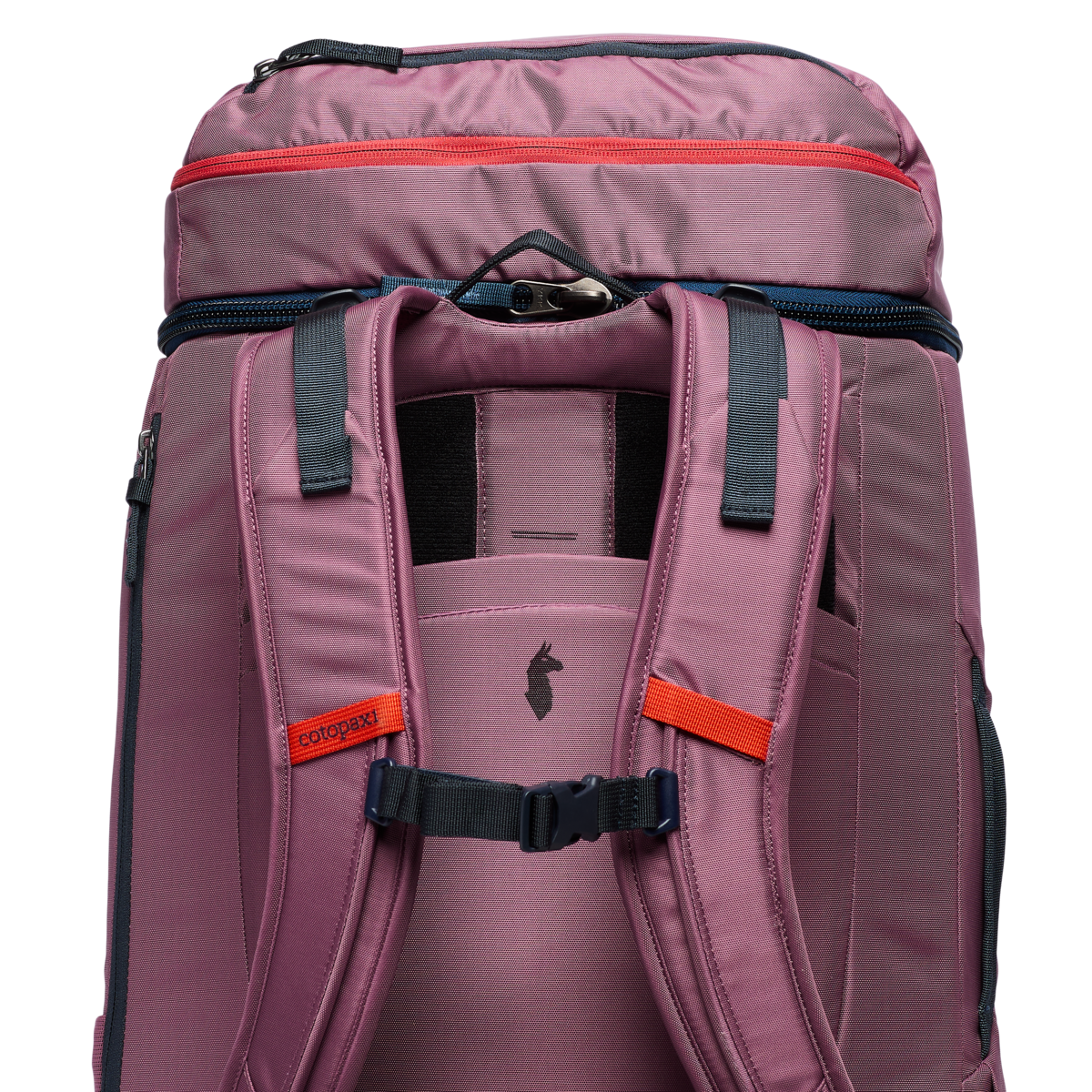 Allpa 50L Adventure Travel Pack、mySite、shAllpa 50L Adventure Travel Pack、mySite、glenpowelloop_name