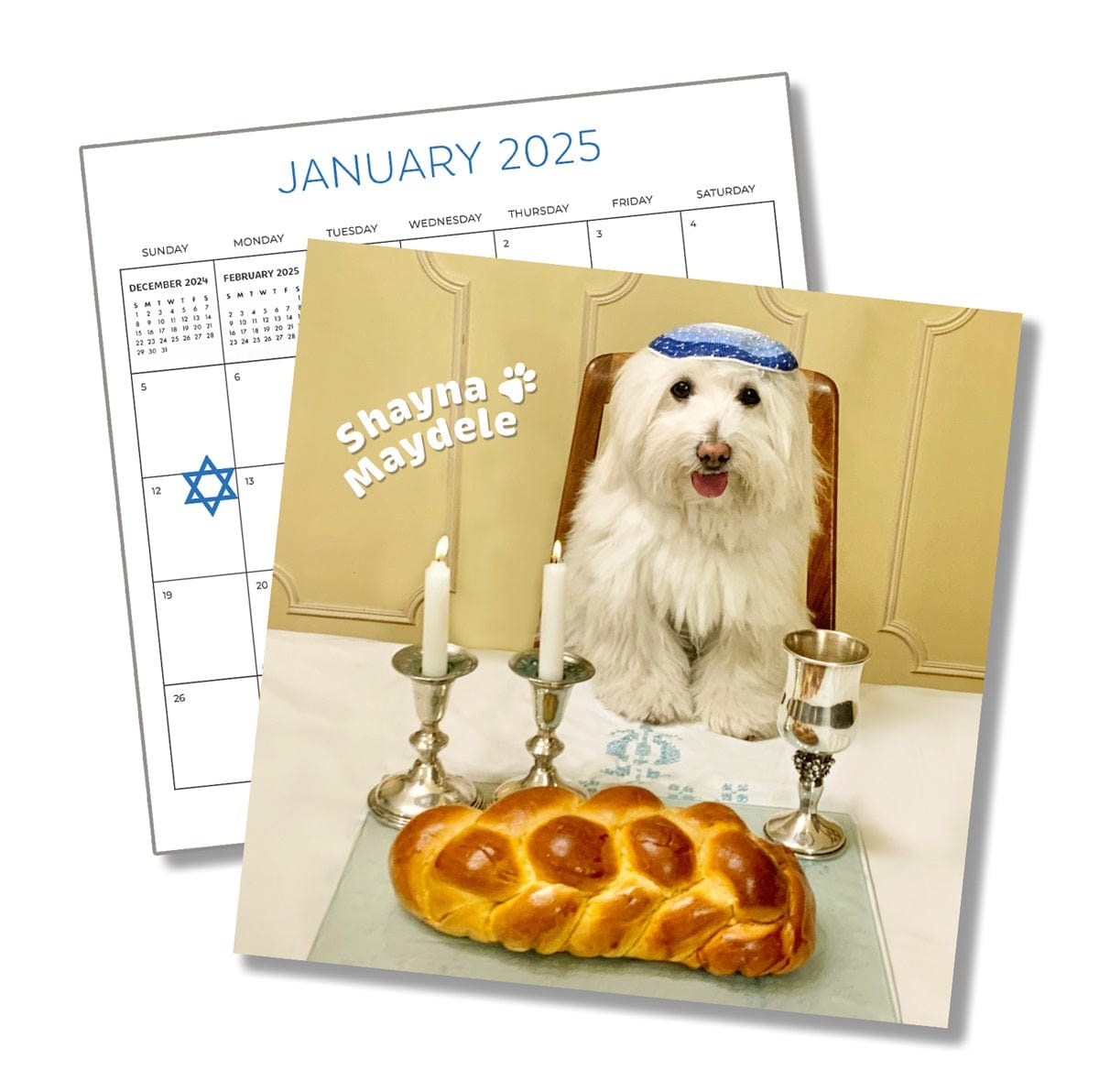 Pawsitively Jewish 2025 Calendar、mySite、topwebapps
